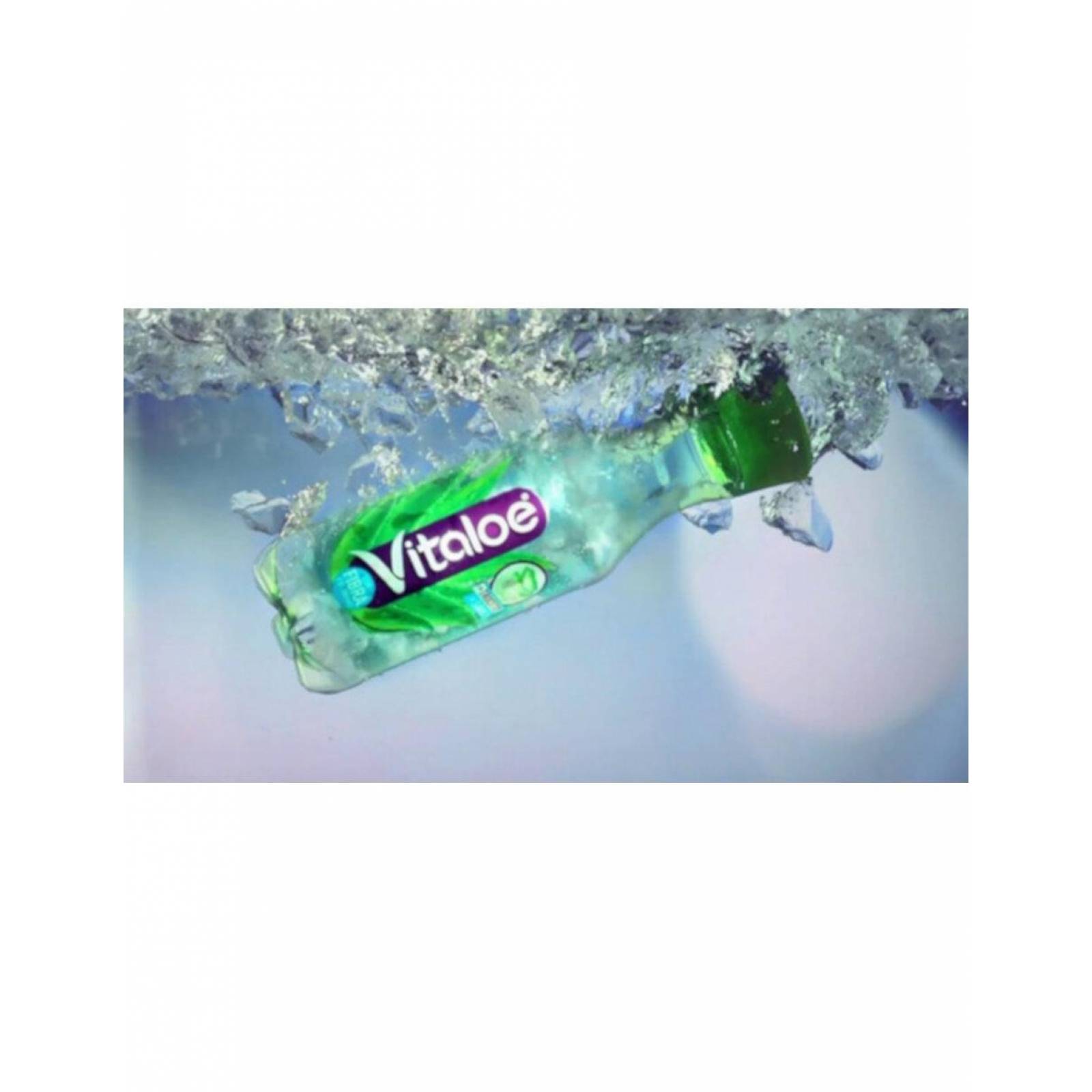 Pack de 12 Agua Vitaloe con Sábila 500 ml 