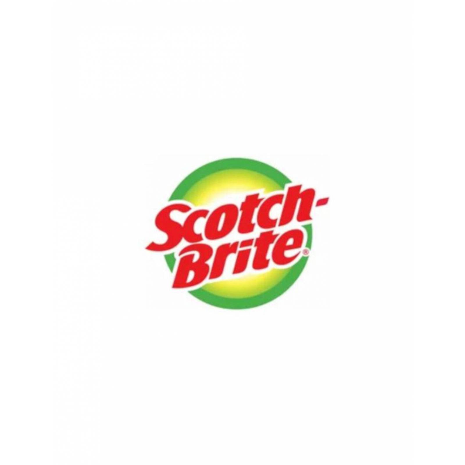 Pack de 36 Fibra Scotch Brite Cero Rayas 