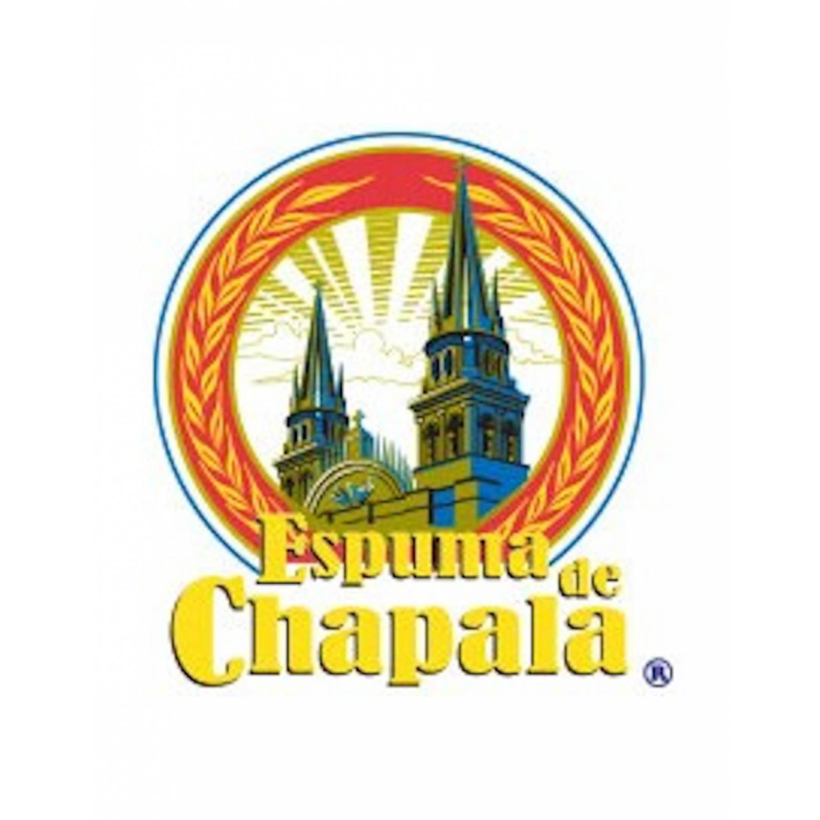 Pack de 10 Harina Espuma de Chapala Trigo 1kg 