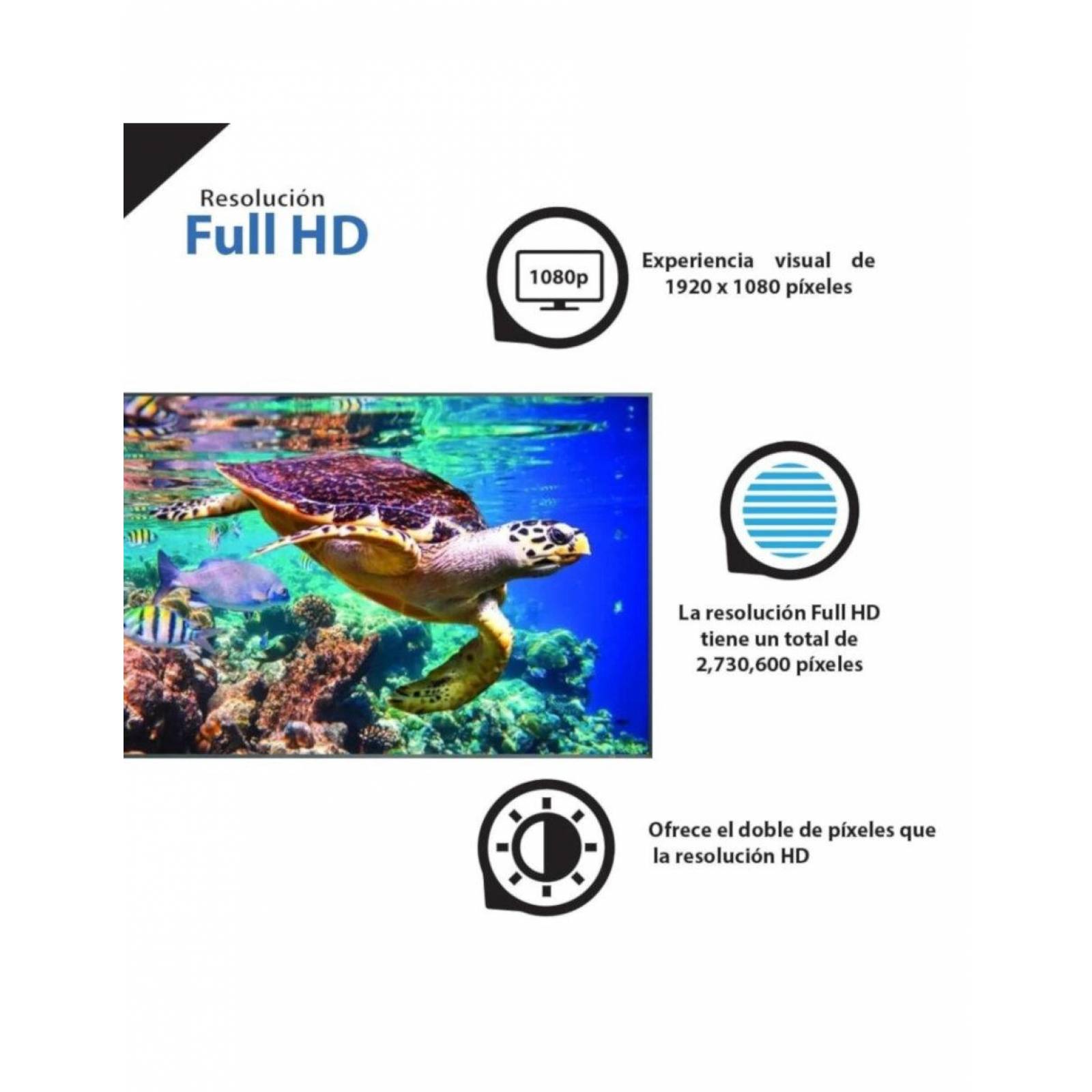 Tv Hisense 43 Led 720P 60Hz Smart Tv + Roku