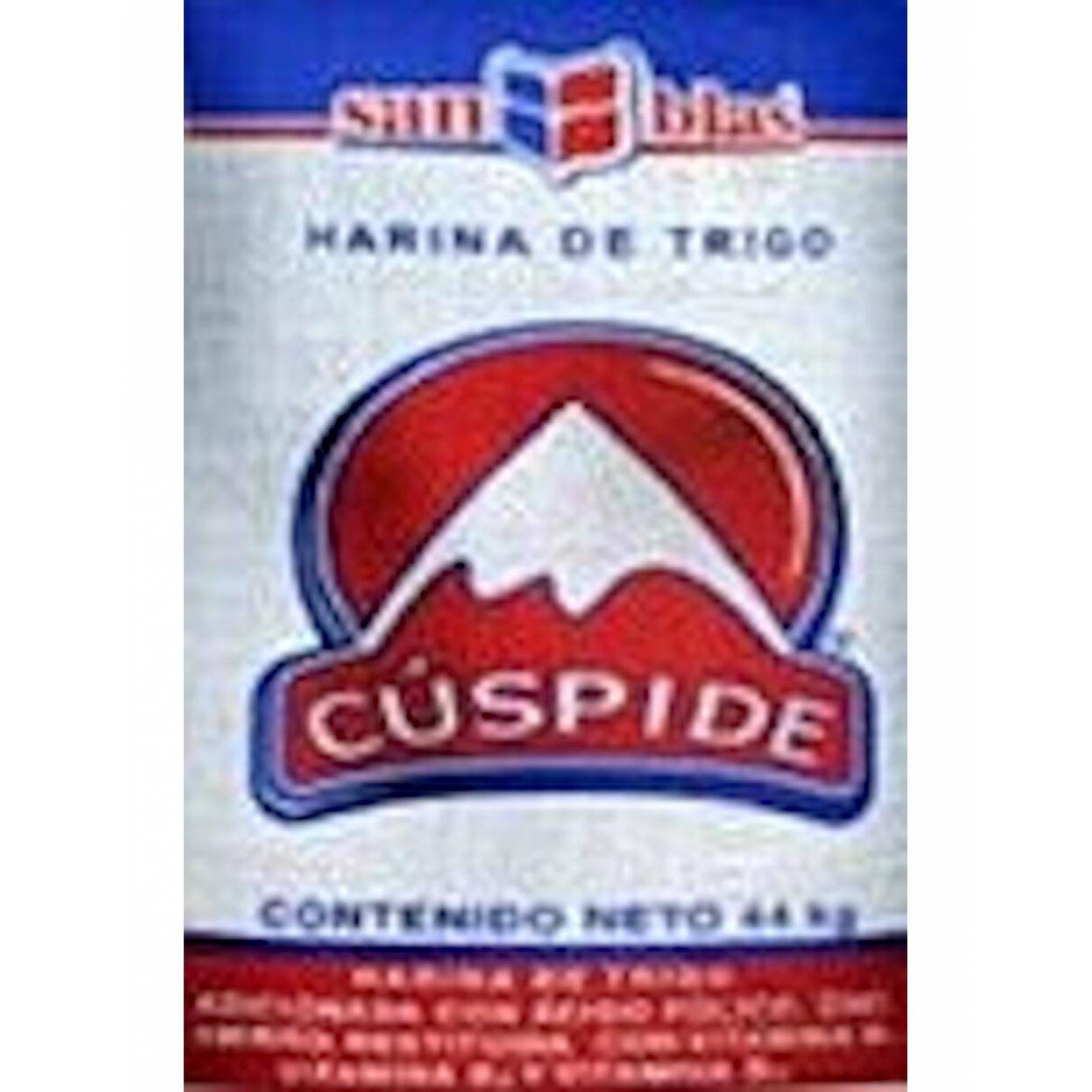 Pack de 44 Harina Cuspide Trigo Fina de 1 kg