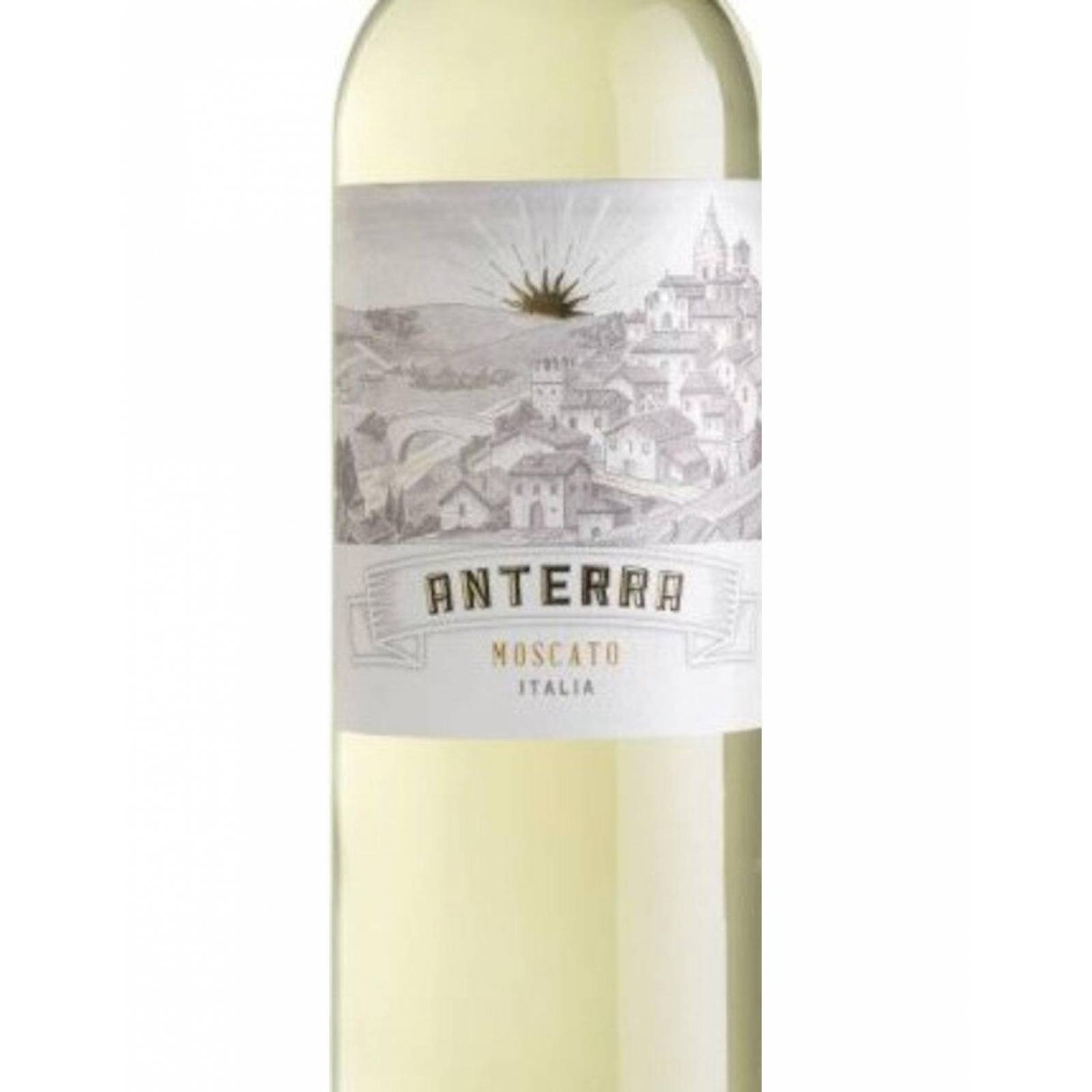 Pack de 12 Vino Blanco Anterra Moscato 750 ml 
