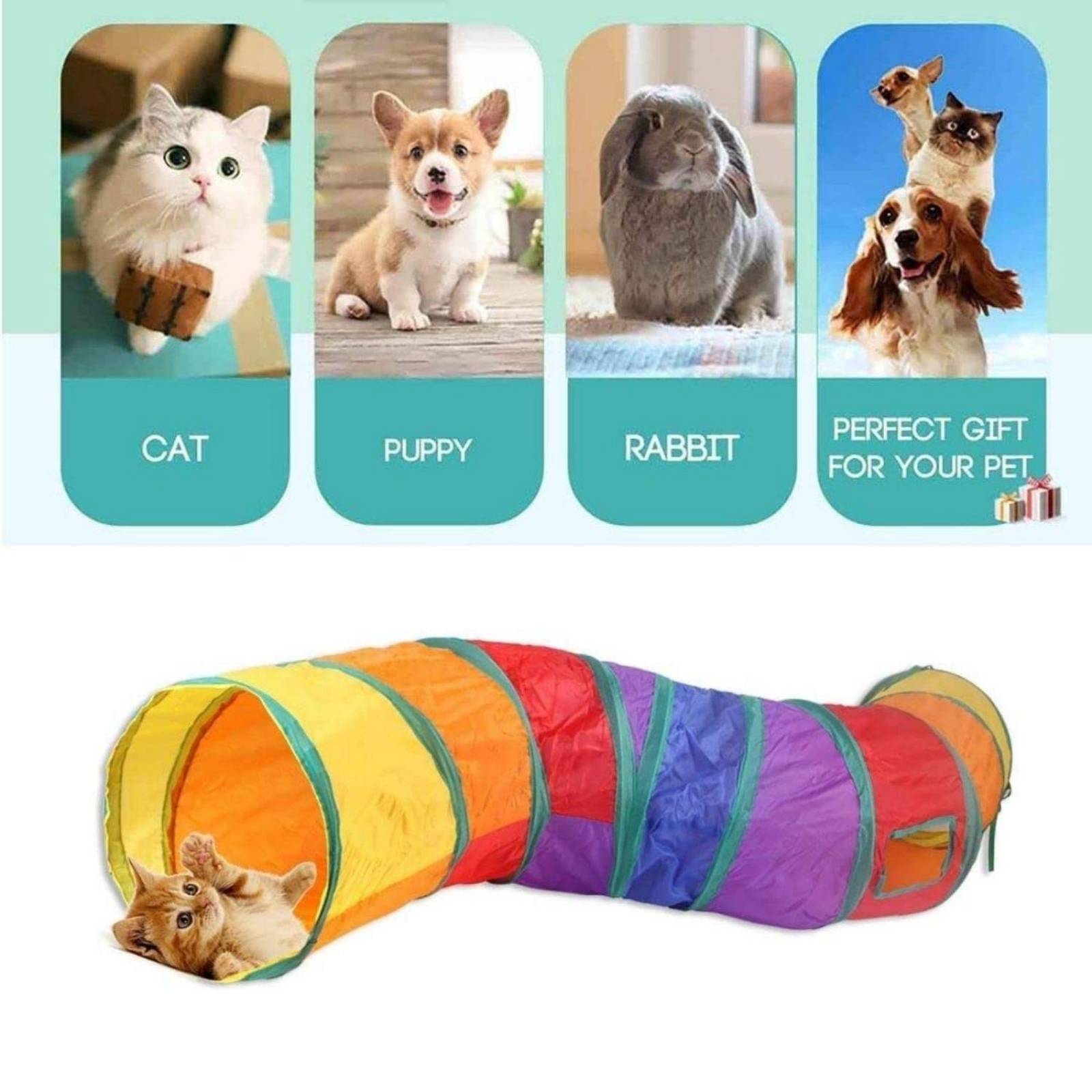 22 Pack Juguetes para Gatos FASTPET Accesorios para Gato
