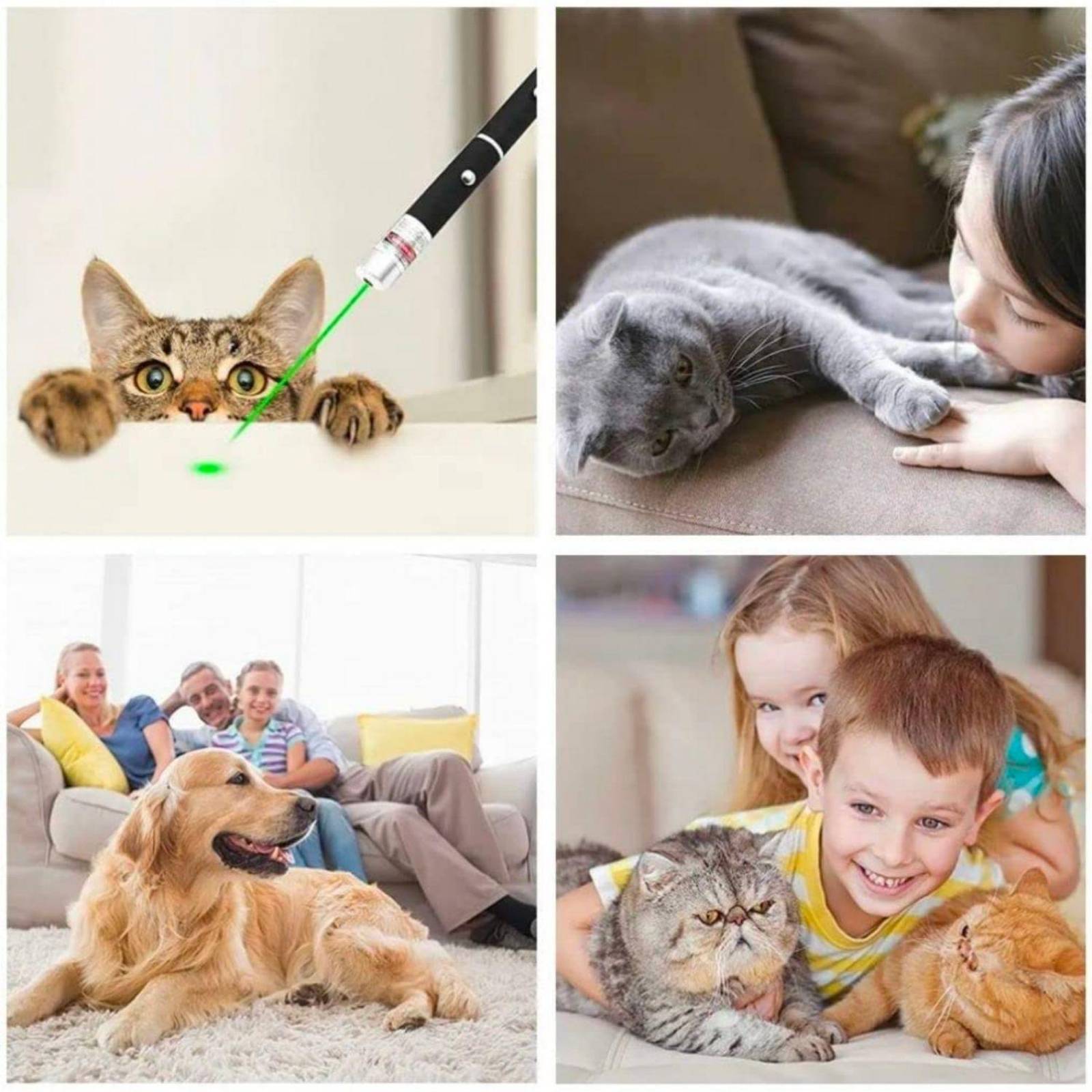 Láser de Luz para Gato FASTPET Juguete Multifuncional Gatito Azul