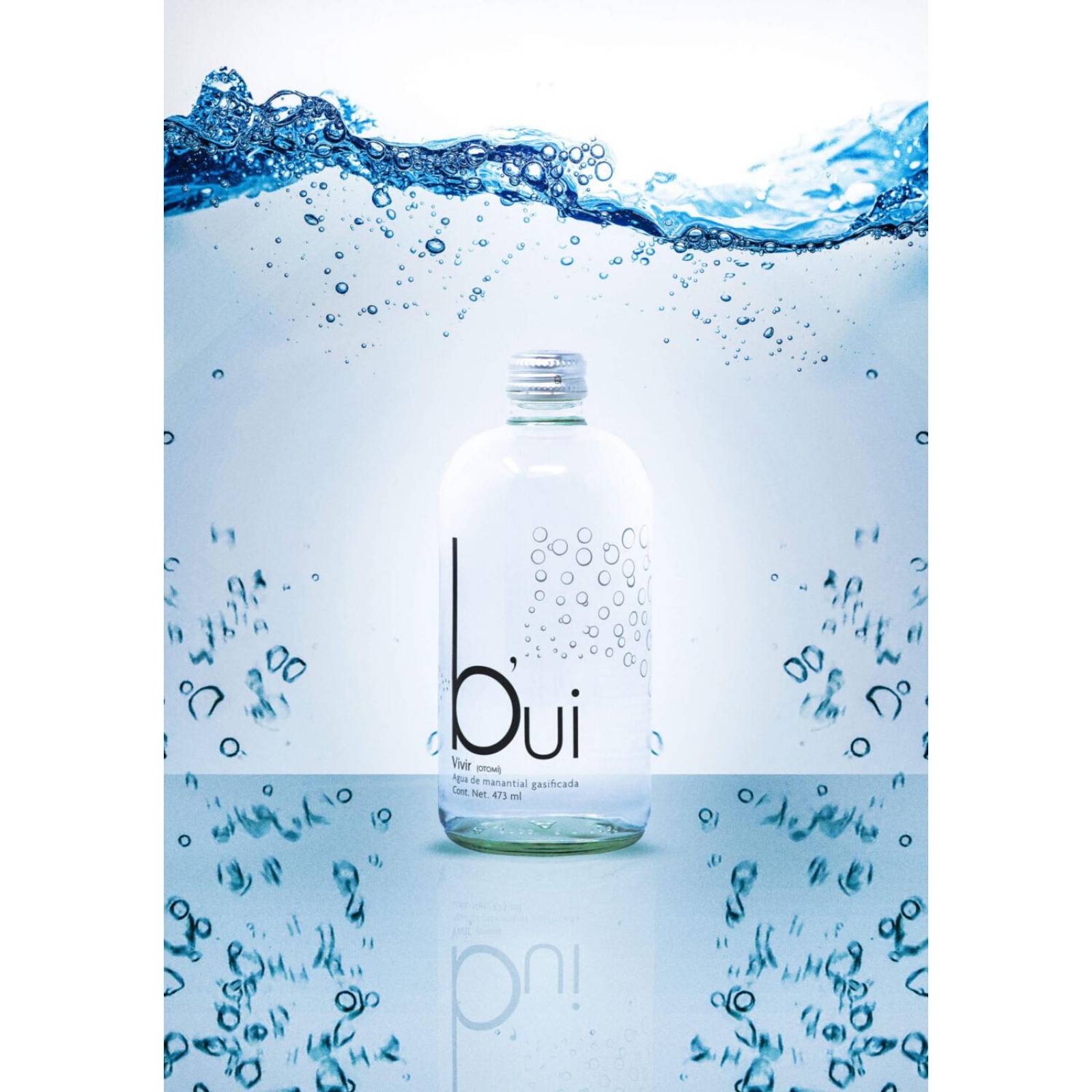 Pack de 12 Agua Mineral Bui Clásica 473 ml 
