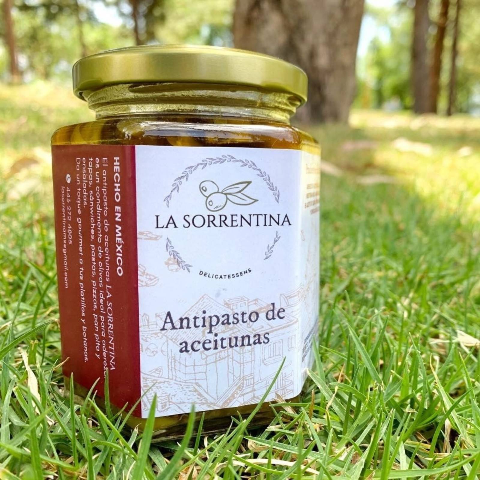 Aderezo Olive De Aceitunas 3 Piezas 350g Antipasto Gourmet