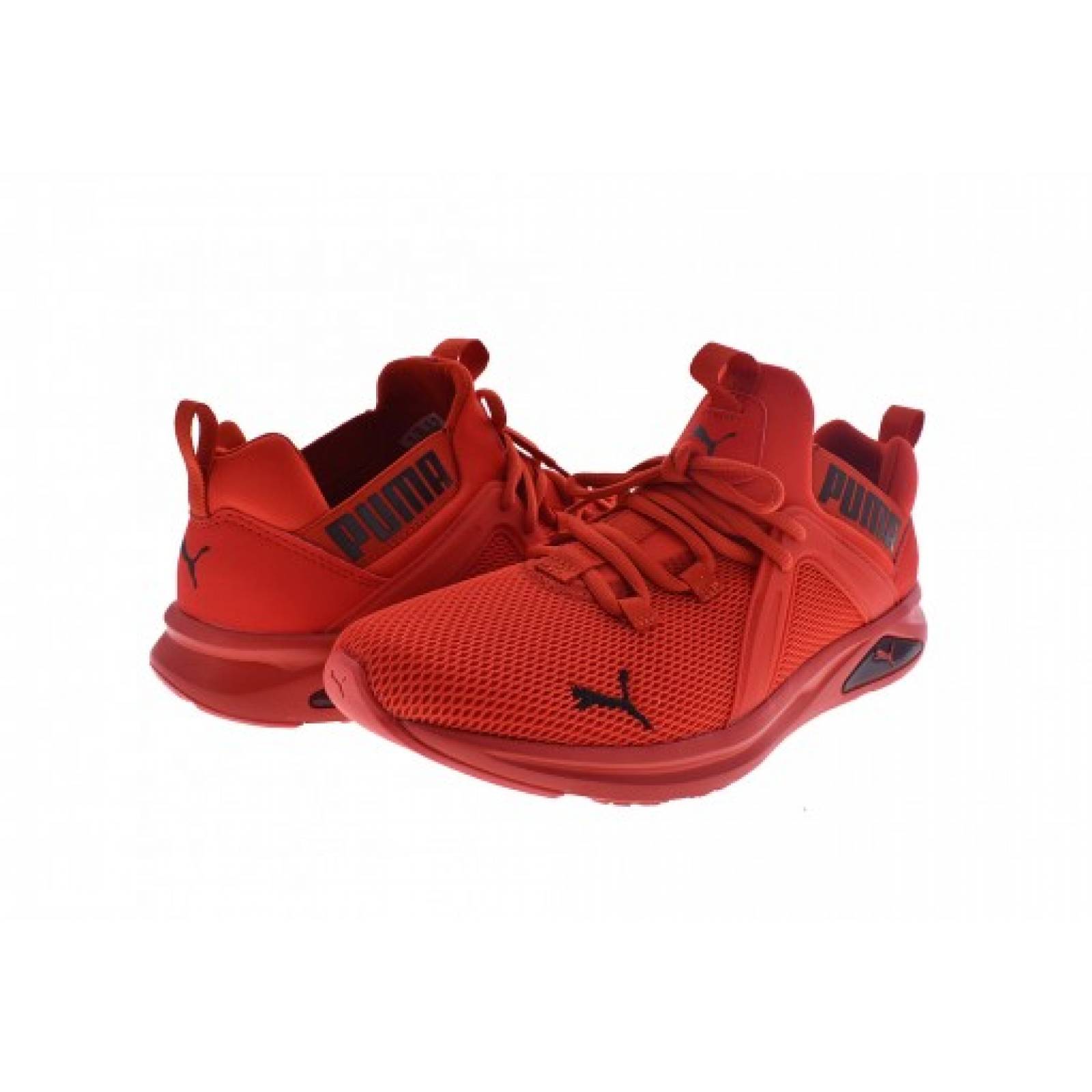 enzo high risk red