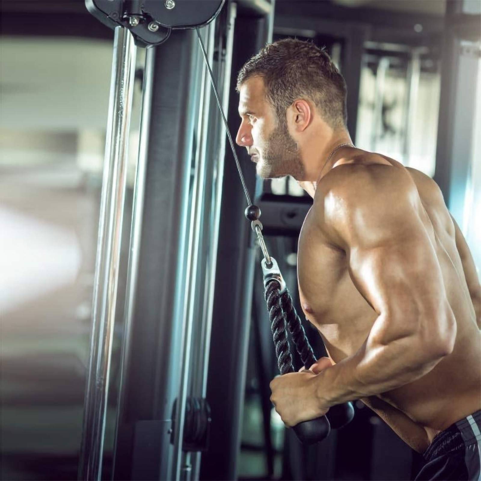 Cuerda de tríceps asa doble para Polea Gym Cuerda de tracción Muscular Plateado Grande