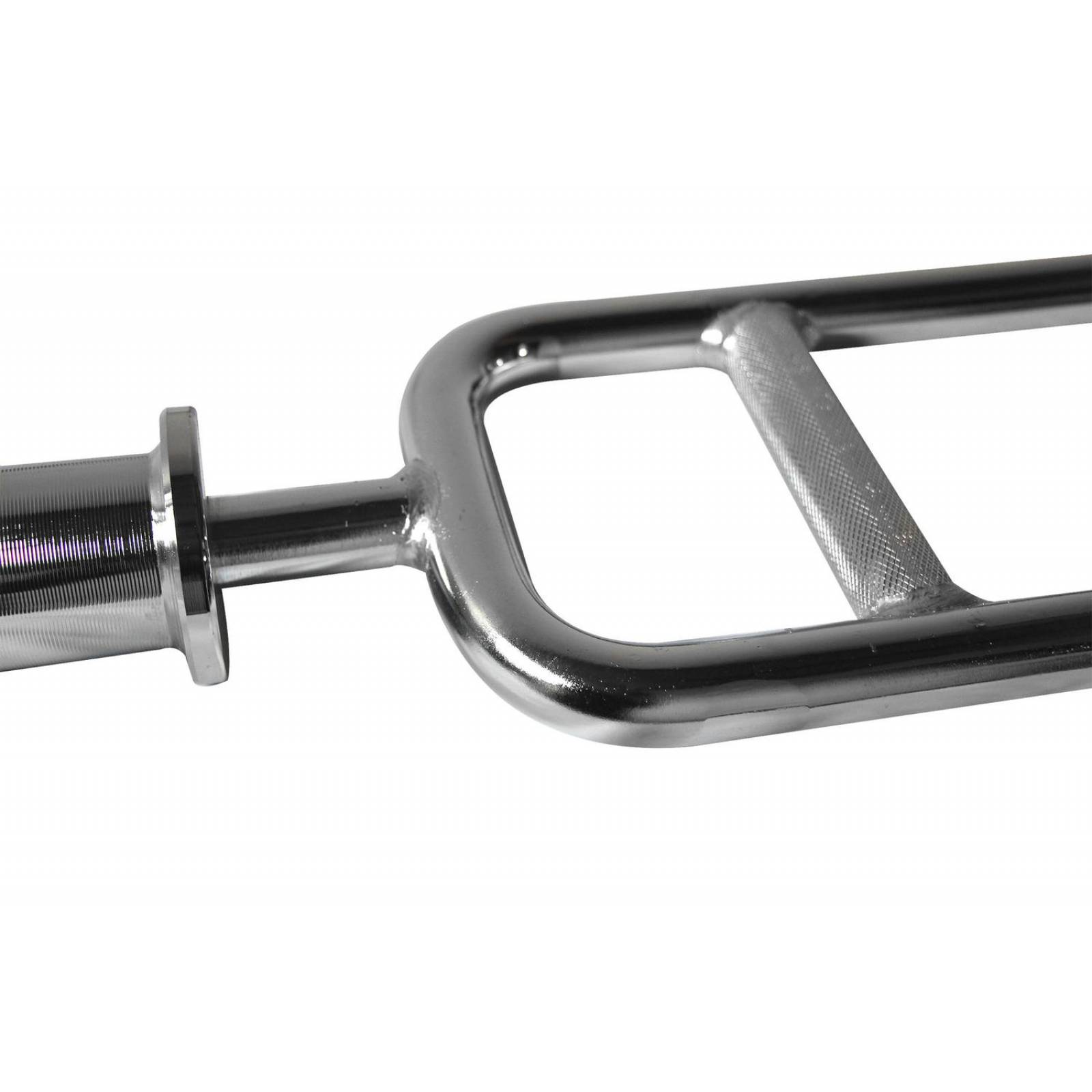 Barra Romana Olimpica Para Pesas Y Crossfit Resiste 1.200 Lbs Plateado