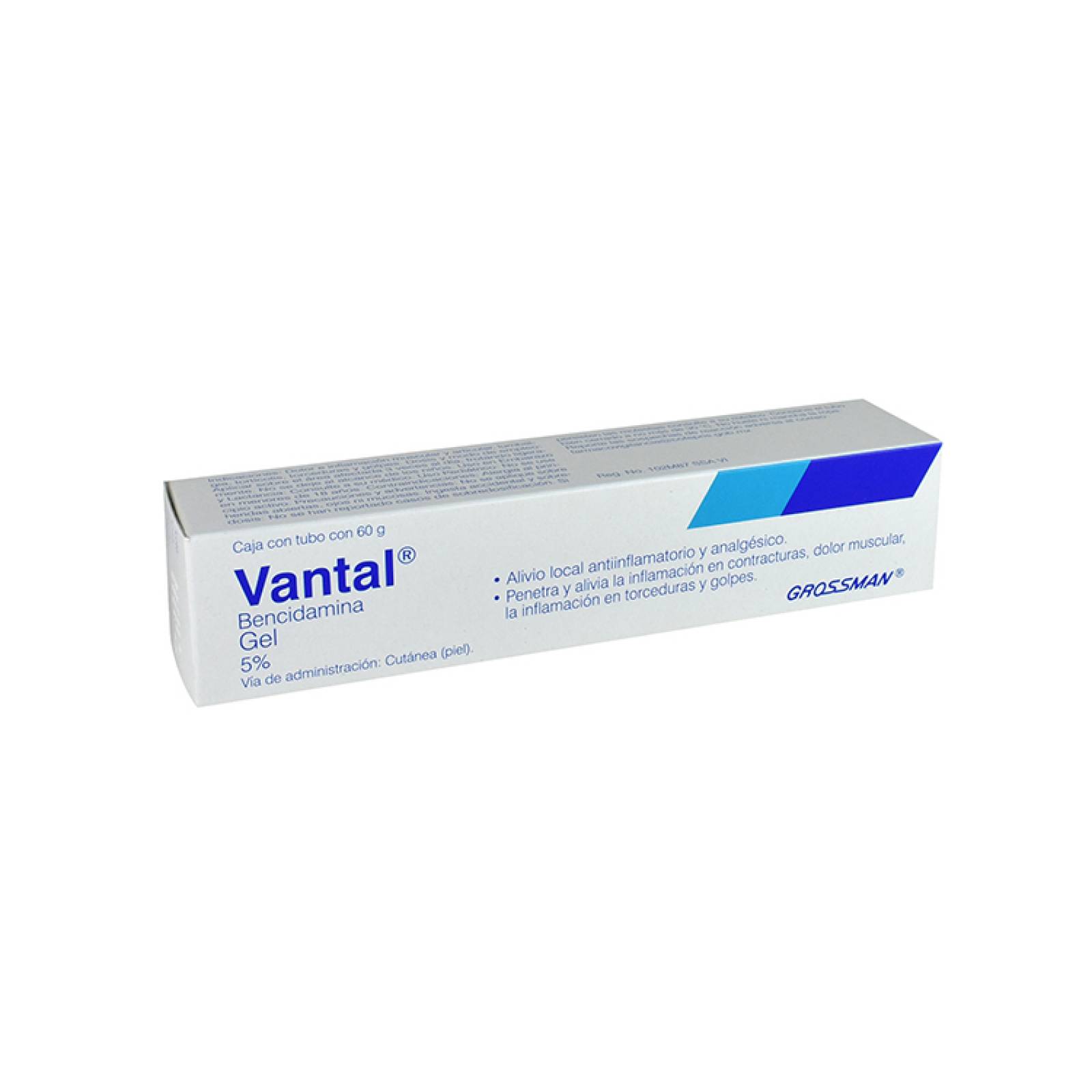 Vantal Gel 60 Gr 1 Tubo