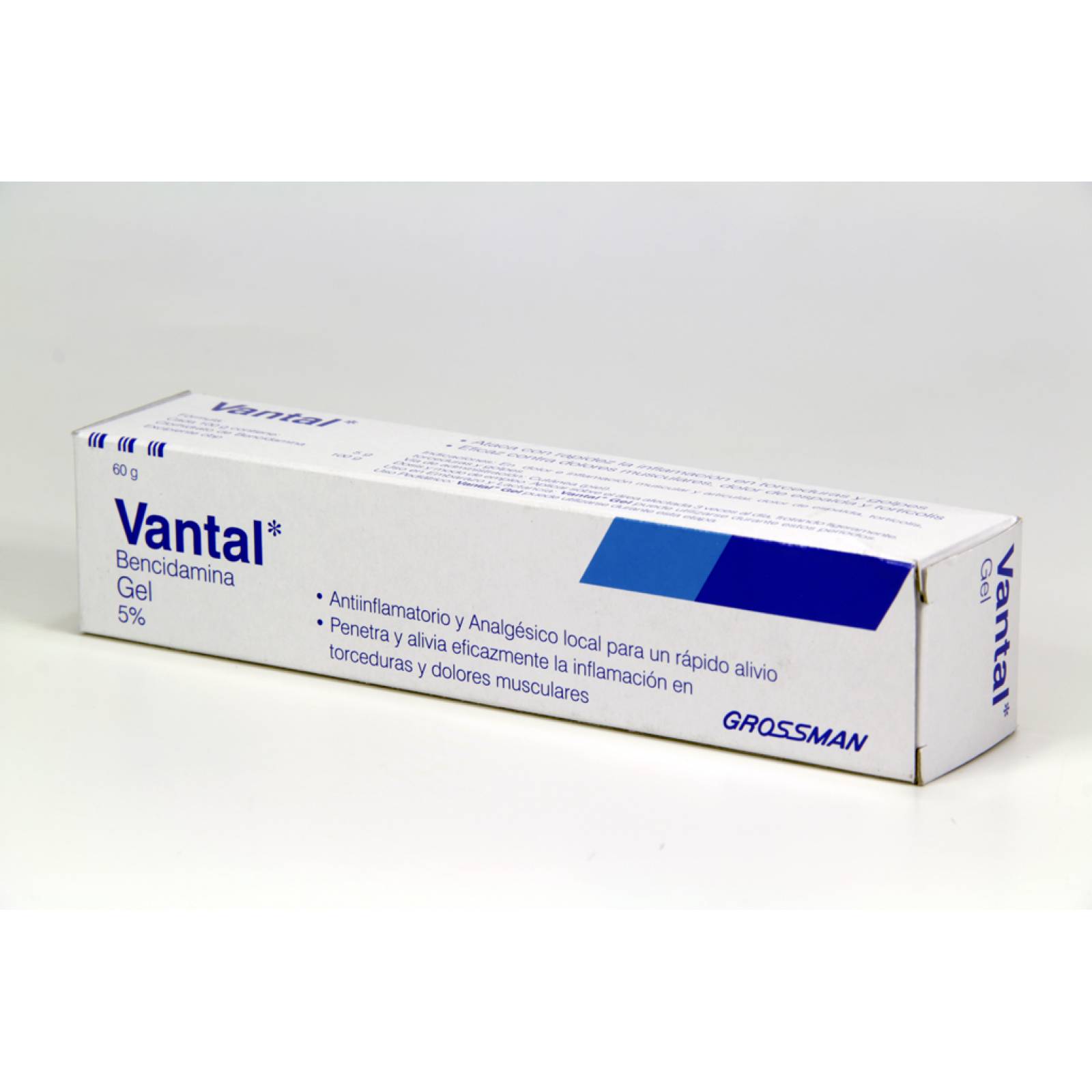 VANTAL GEL 60 GR 1 TUBO