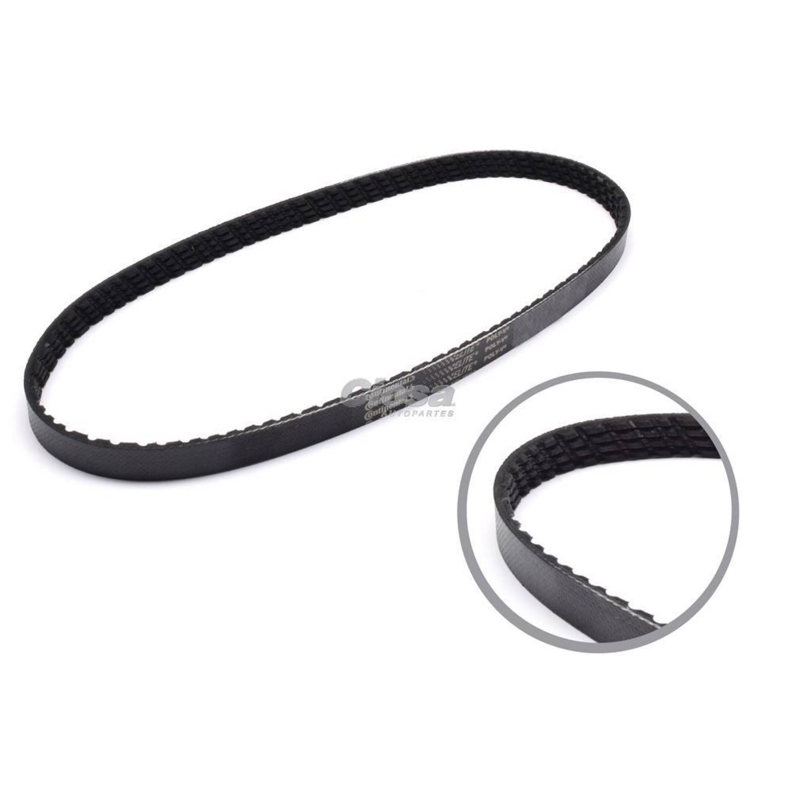 Banda Poly V Para Ford Escort Zx2 1998 - 2001 (Continental Elite)