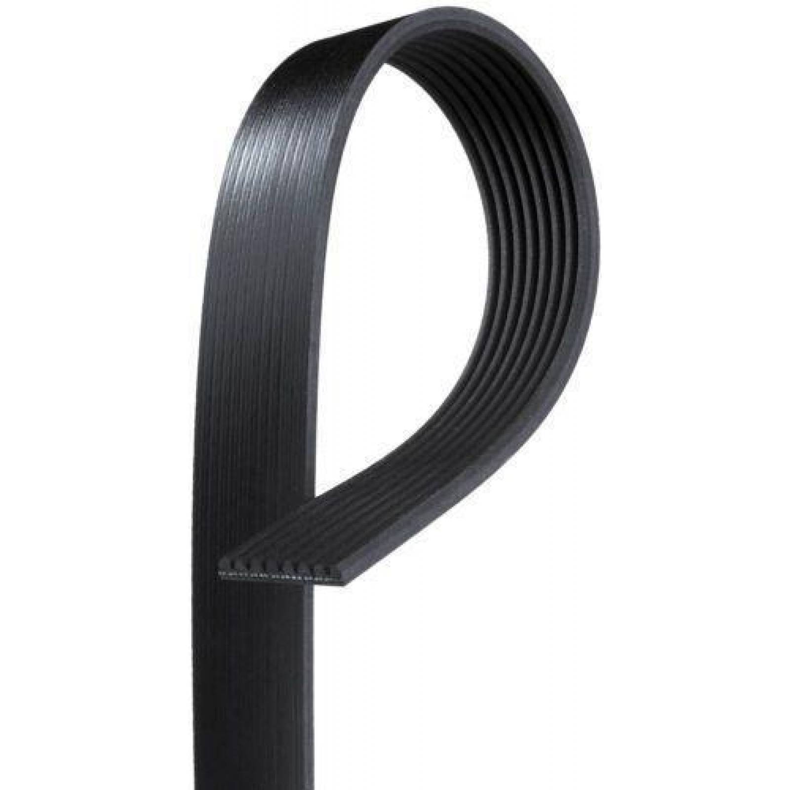 Banda Poly V Para Volkswagen Amarok 2011 - 2012 (Garanti) 