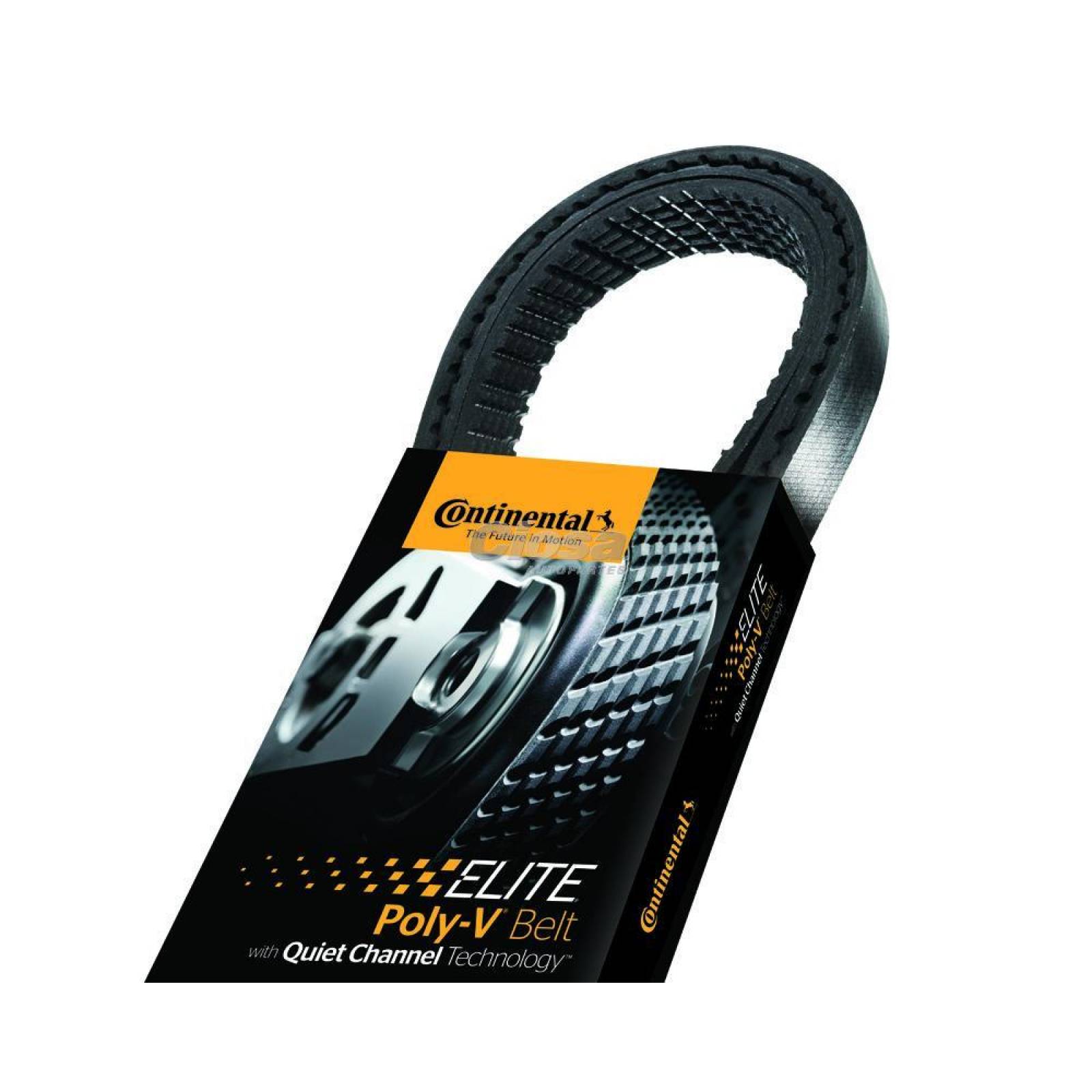 Banda Poly V Para Chevrolet Equinox 2006 - 2008 (Continental Elite) 