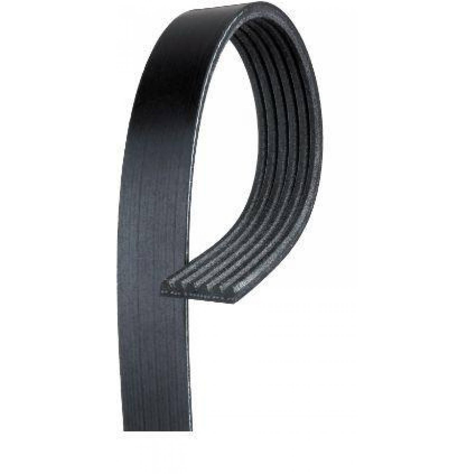 Banda Poly V Para Chevrolet Malibu 1997 - 2001 (Gates) 