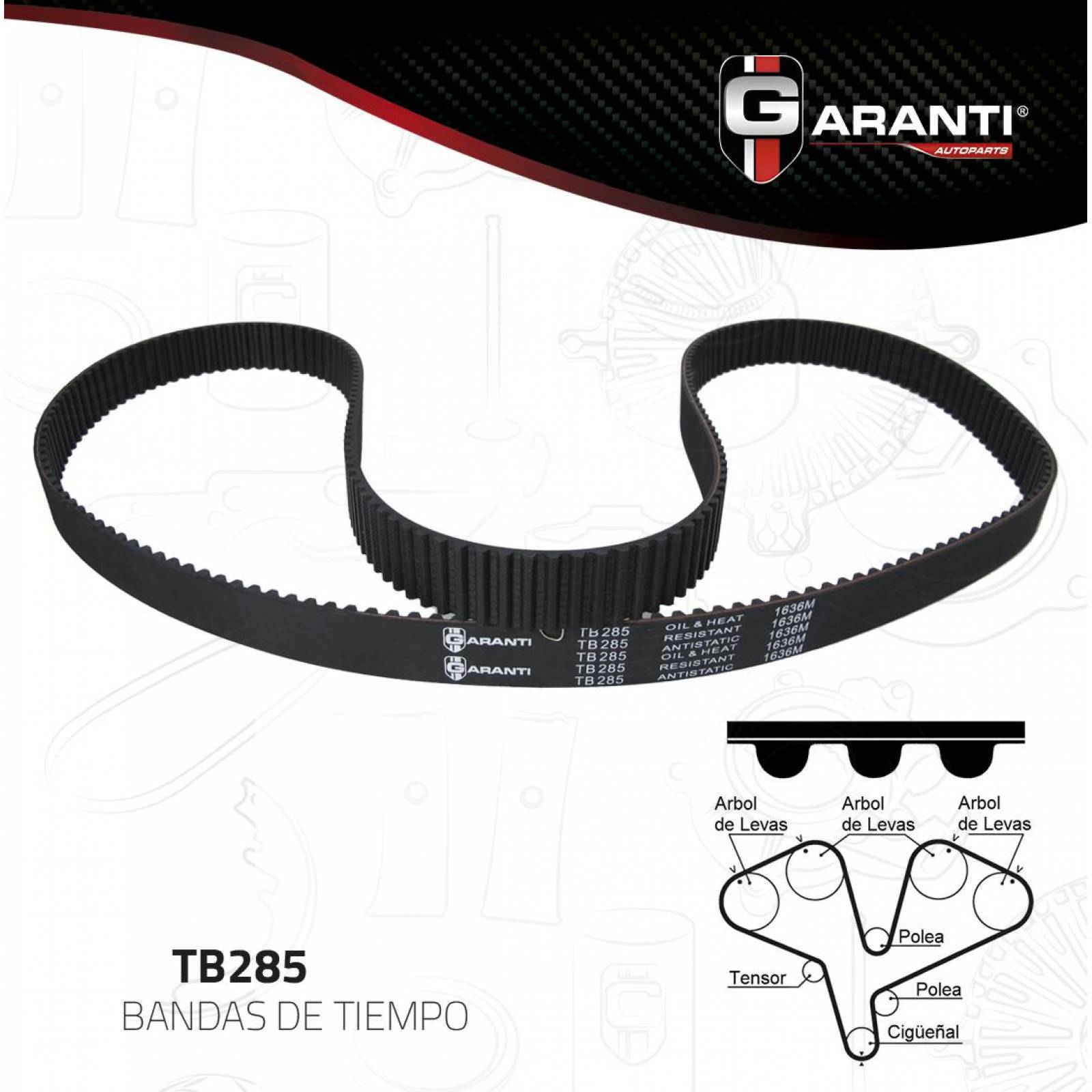 Banda Tiempo Para Cadillac Cts 2003 - 2004 (Garanti) 