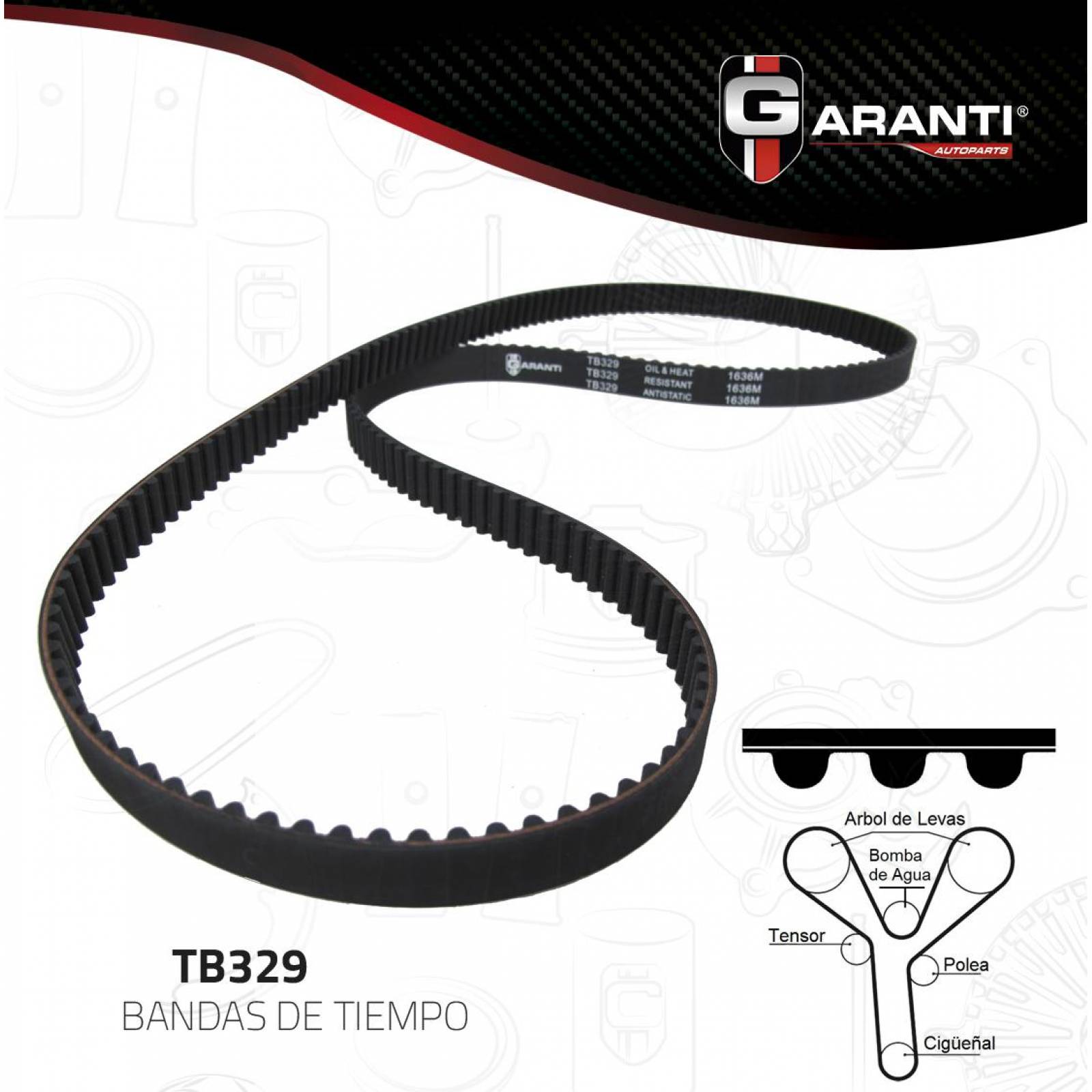 Banda Tiempo Para Honda Ridgeline 2006 - 2014 (Garanti) 