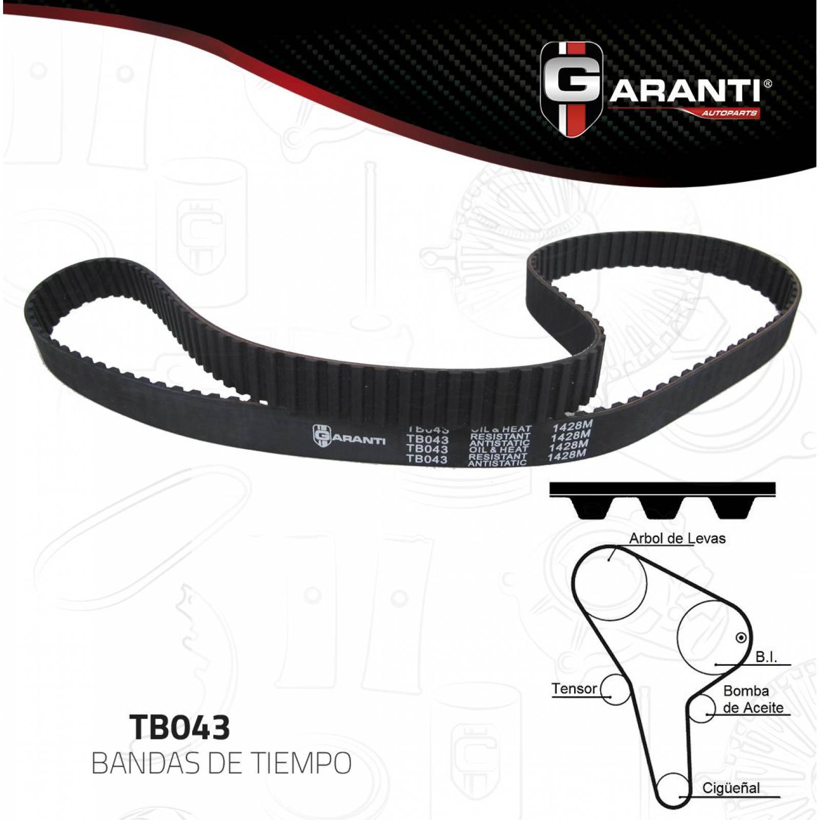 Banda Tiempo Para Volkswagen Quantum 1982 - 1985 (Garanti) 