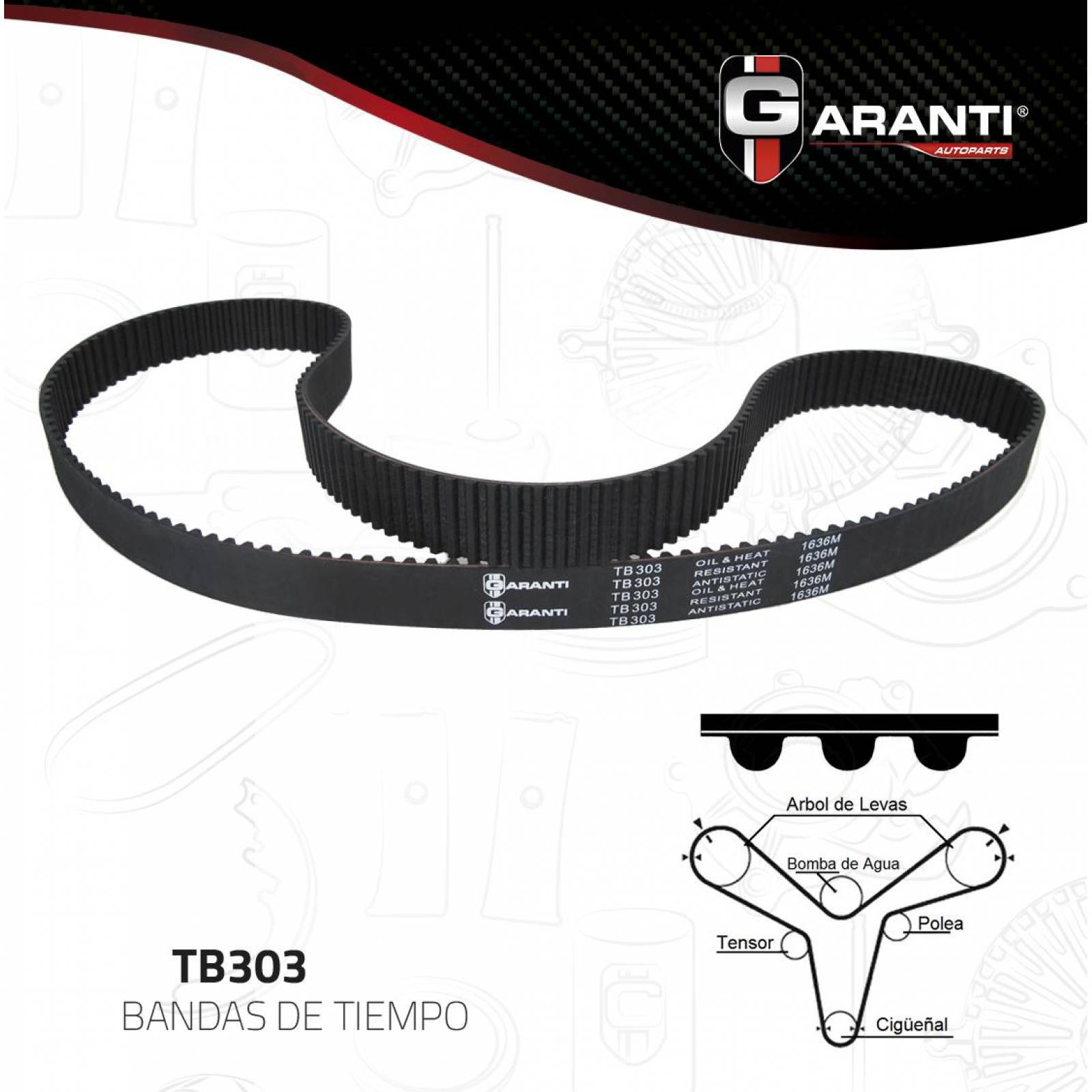Banda Tiempo Para Isuzu Trooper 1998 - 2002 (Garanti) 