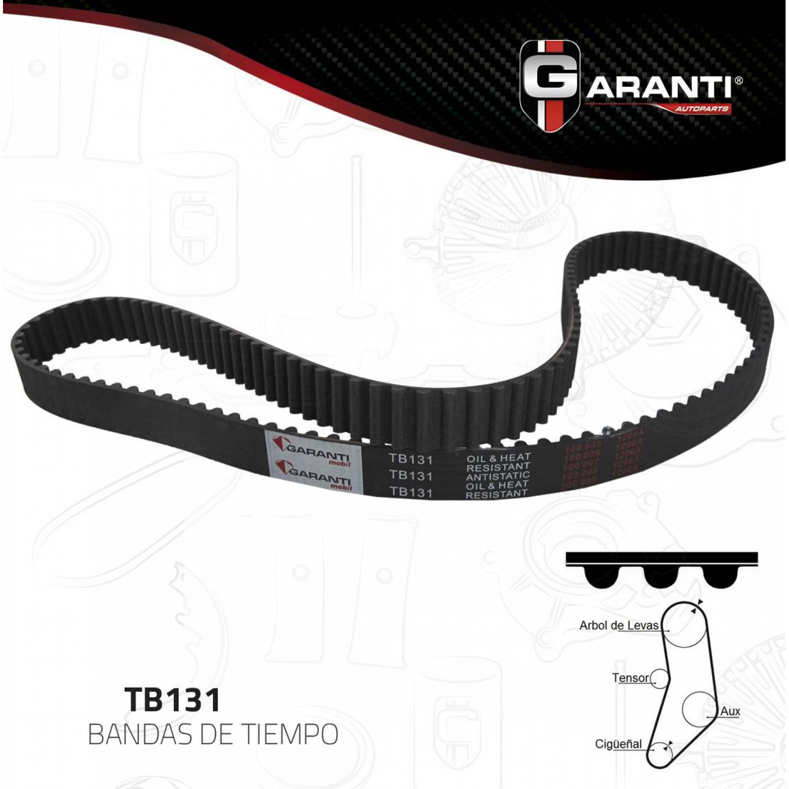 Banda Tiempo Para Bmw 325Es 1986 - 1987 (Garanti) 