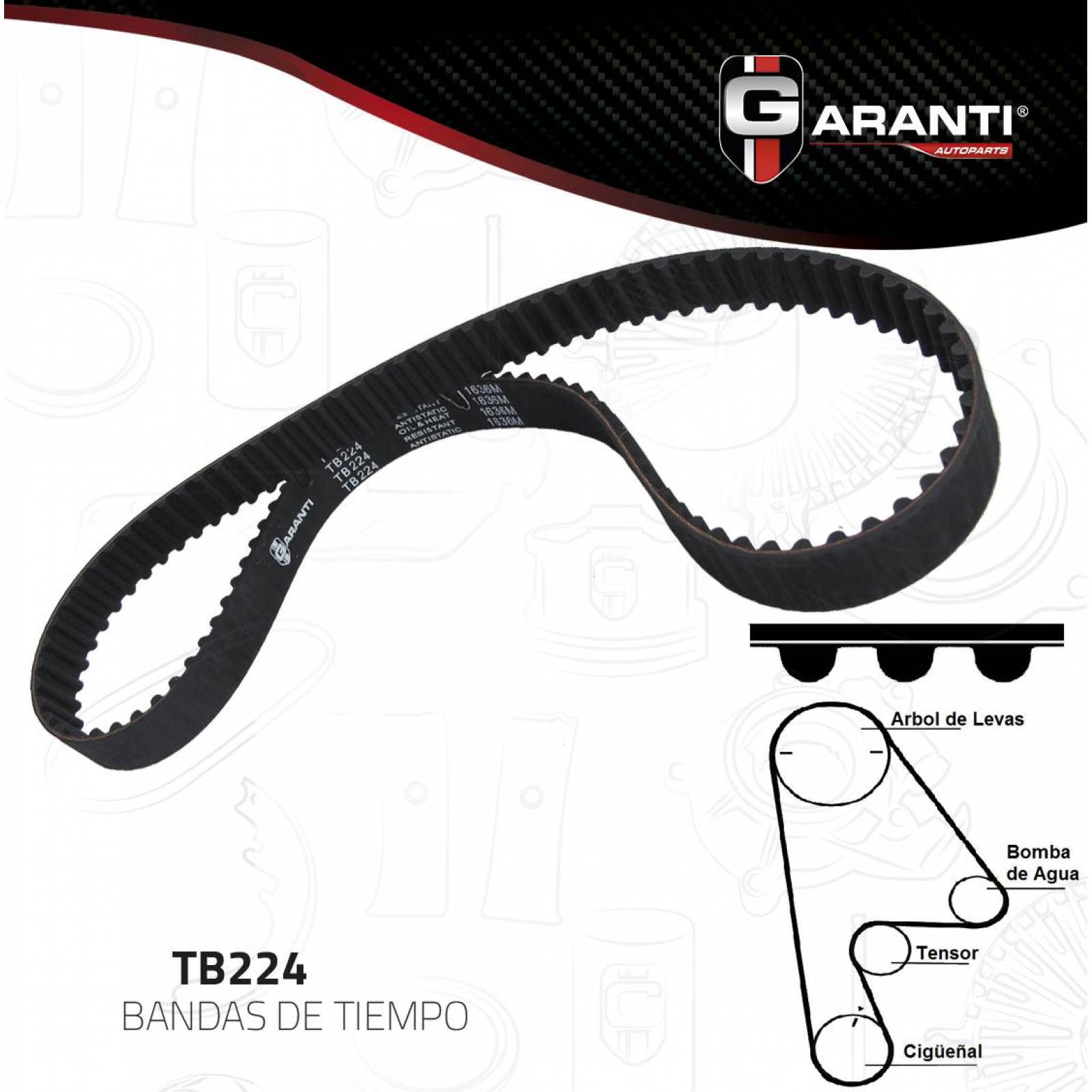 Banda Tiempo Para Honda Civic 1974 - 2005 (Garanti) 