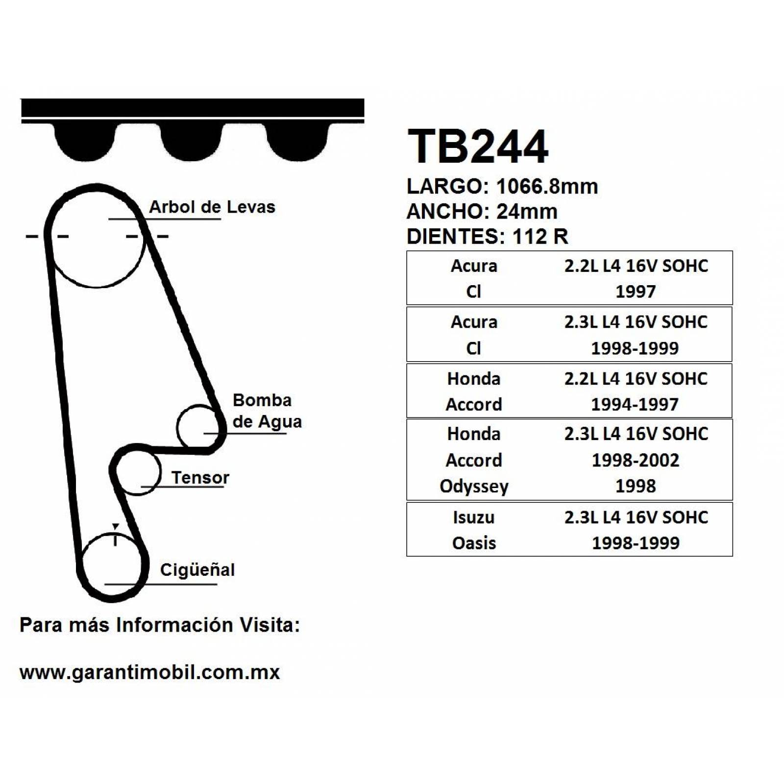 Banda Tiempo Para Honda Accord 1965 - 2014 (Garanti) 