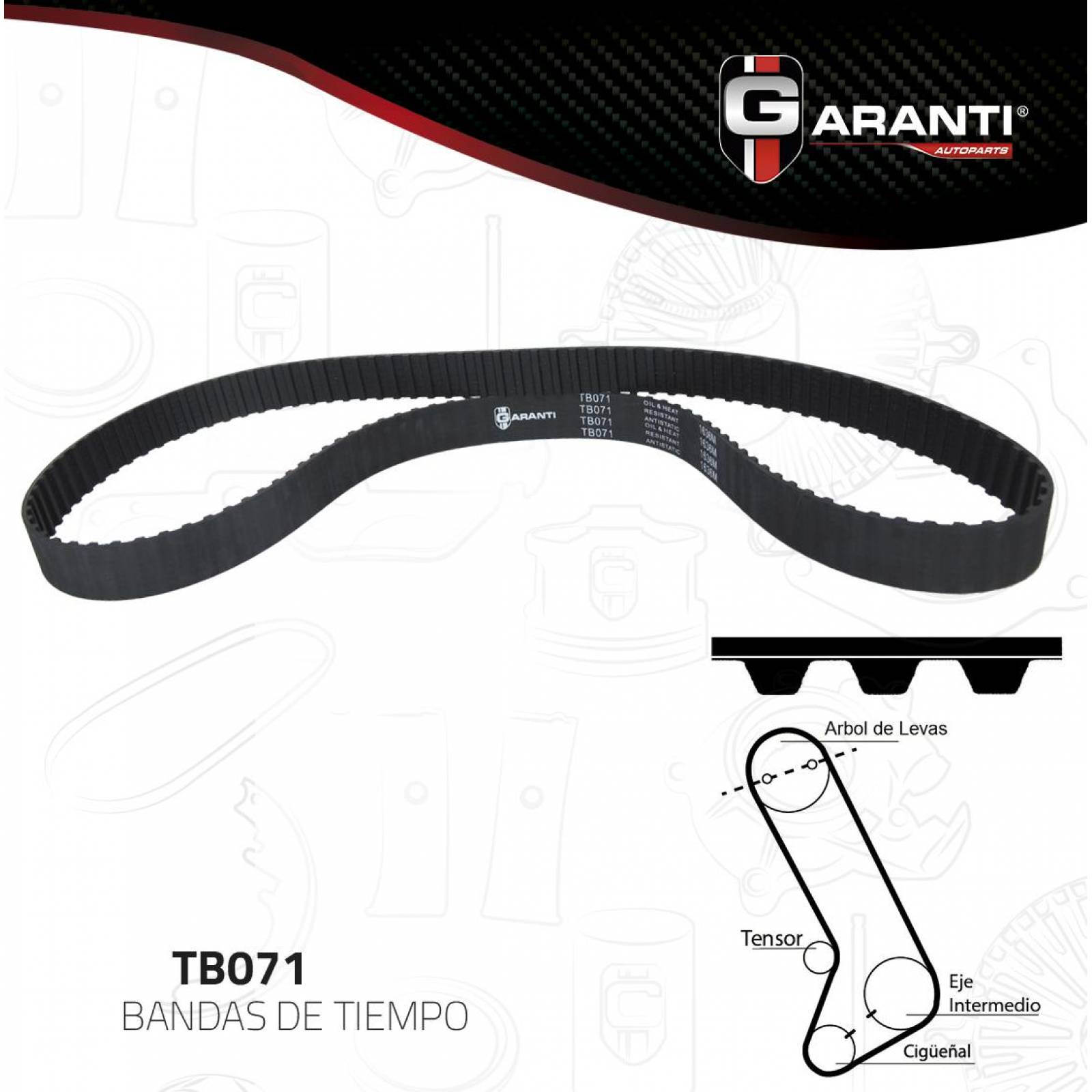 Banda Tiempo Para Dodge Rampage 1982 - 1984 (Garanti) 