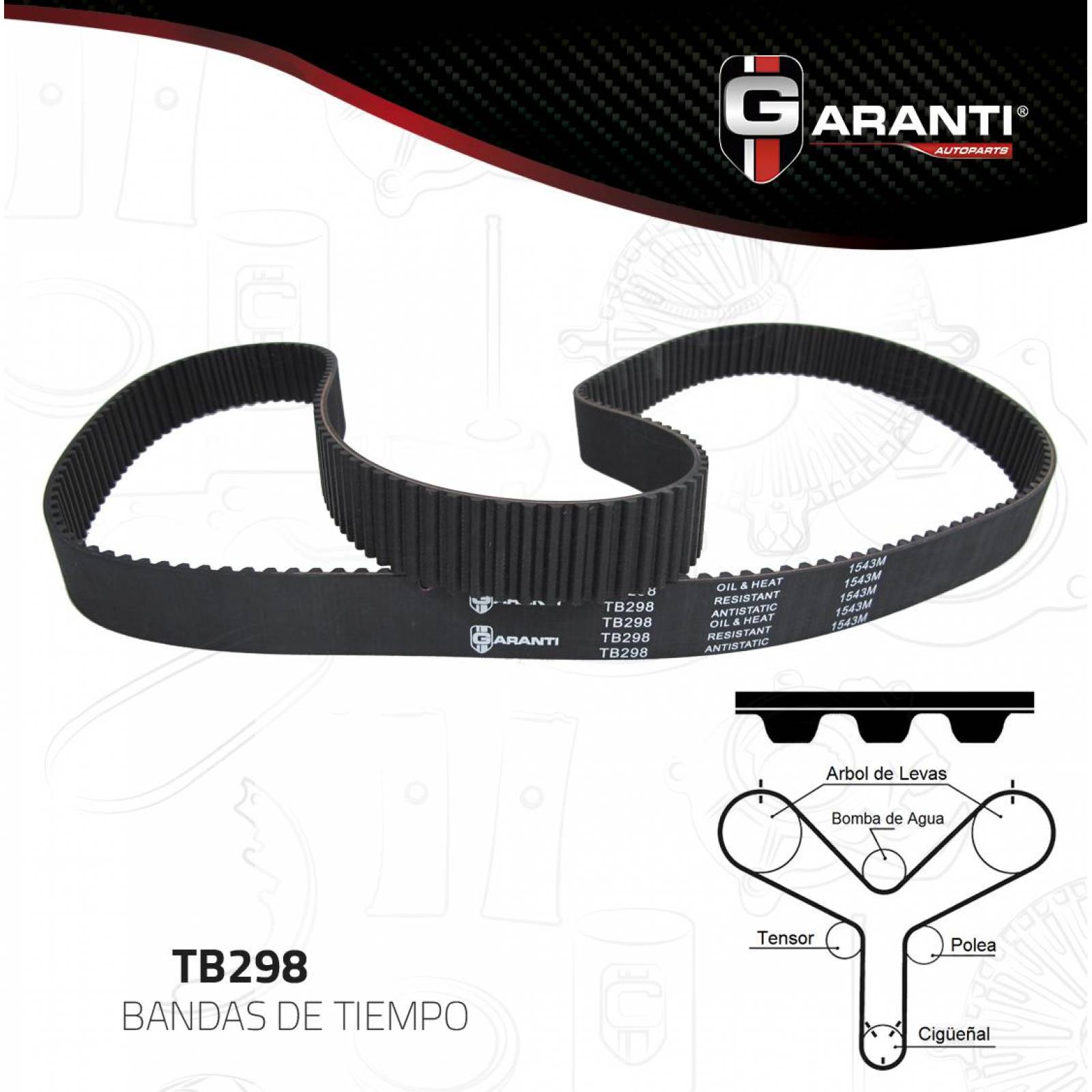 Banda Tiempo Para Lexus Gs430 2001 - 2007 (GARANTI) 