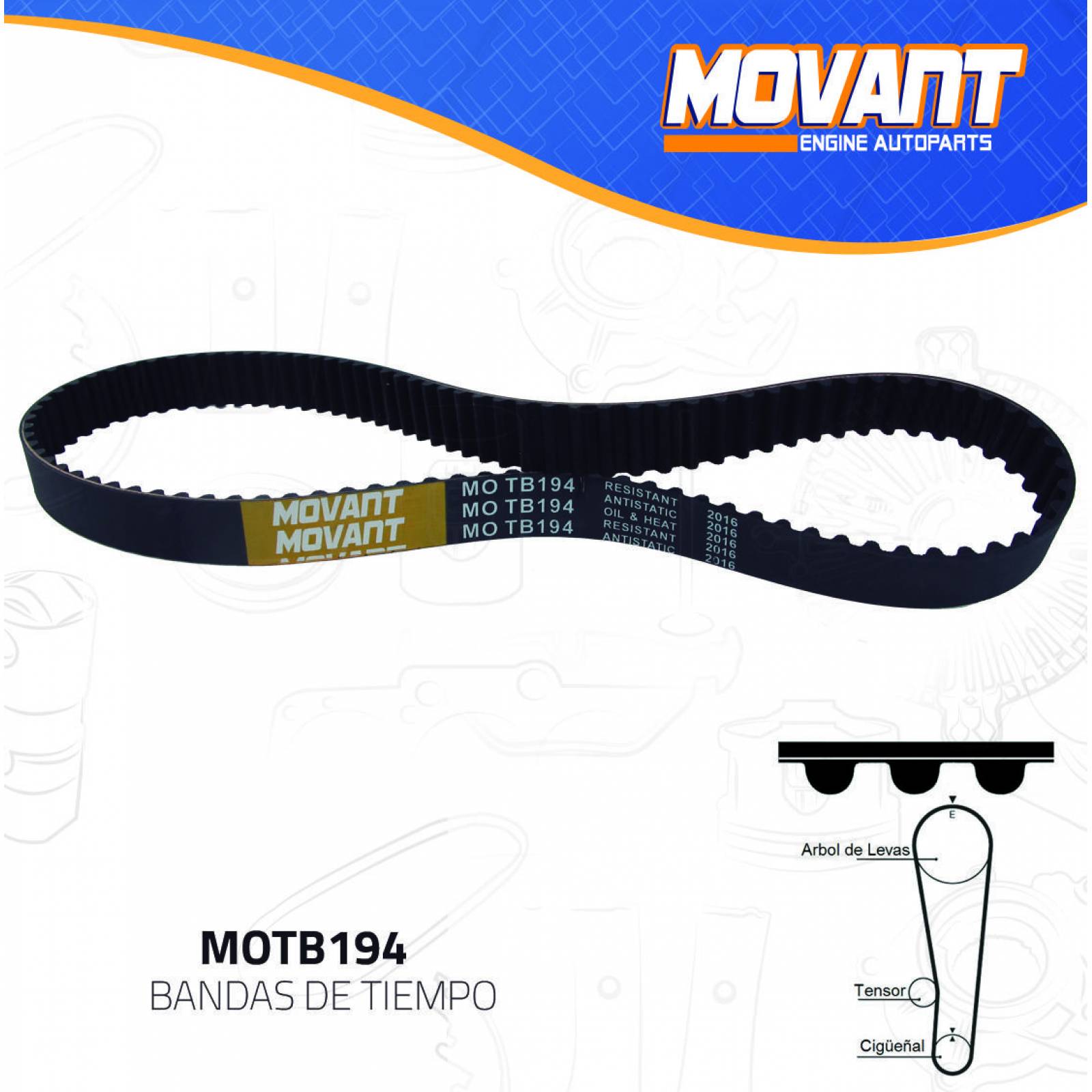 Banda Tiempo Para Mercury Tracer 1991 - 1996 (MOVANT) 