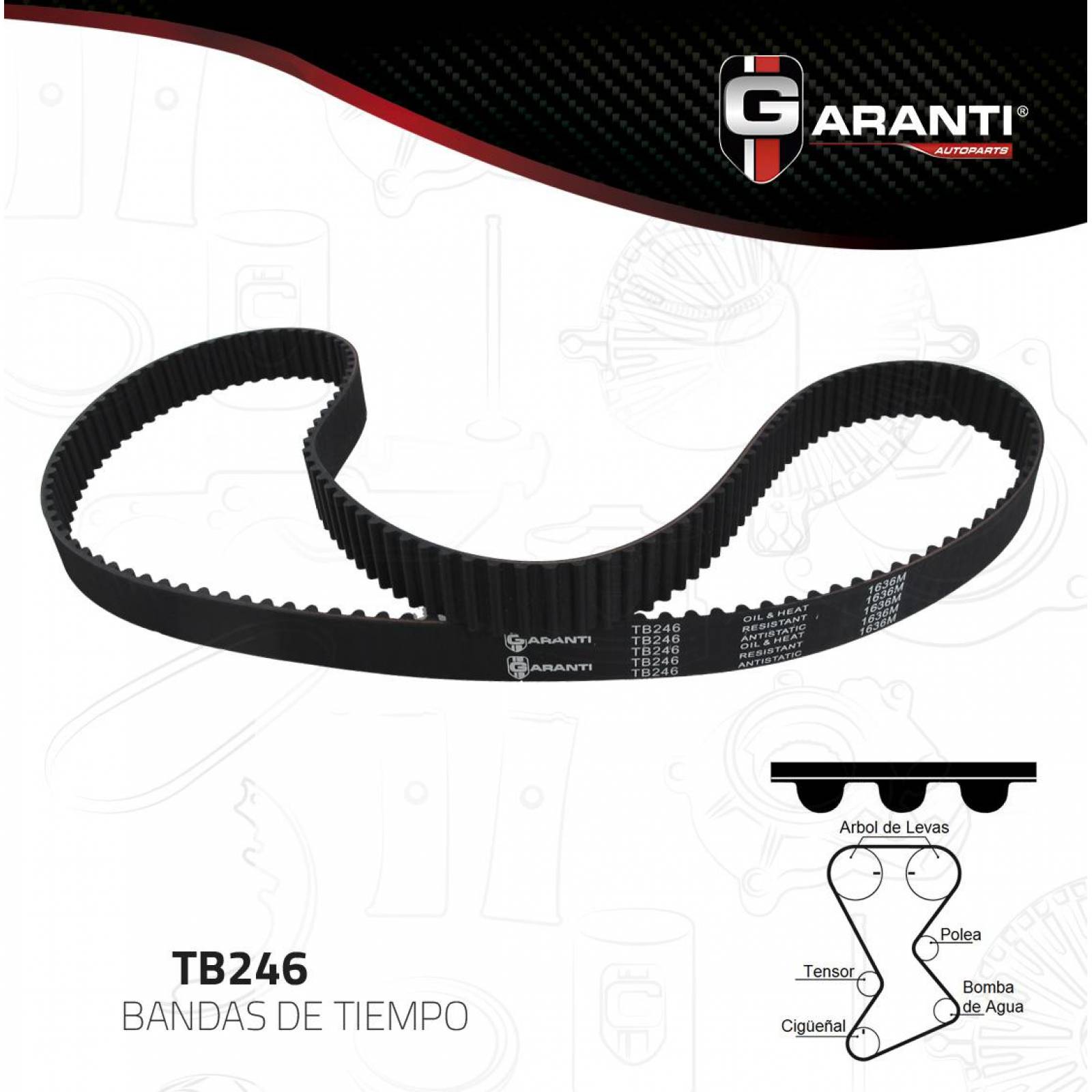 Banda Tiempo Para Dodge Avenger 1995 - 1999 (Garanti) 