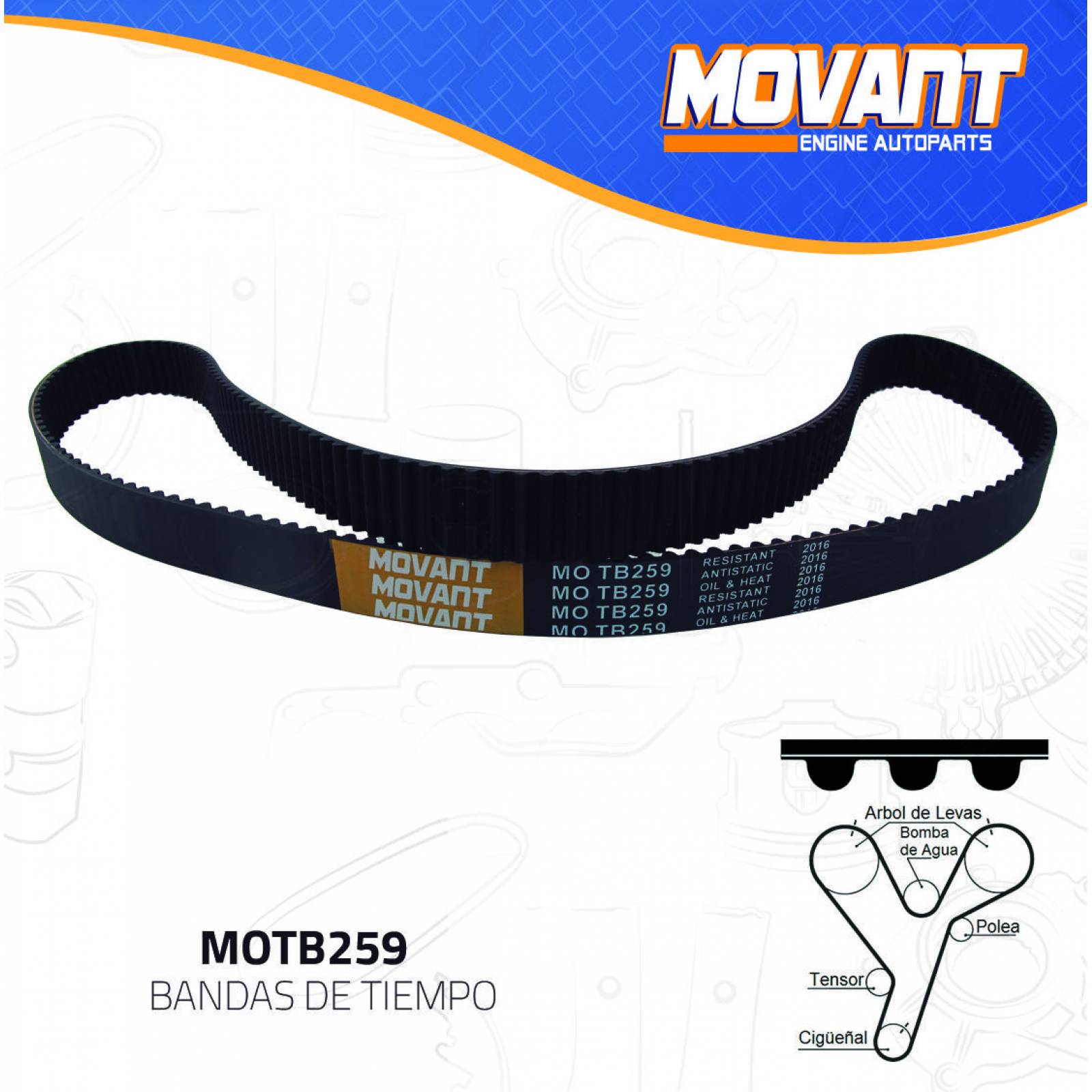 Banda Tiempo Para Chrysler Sebring 1995 - 2006 (MOVANT) 