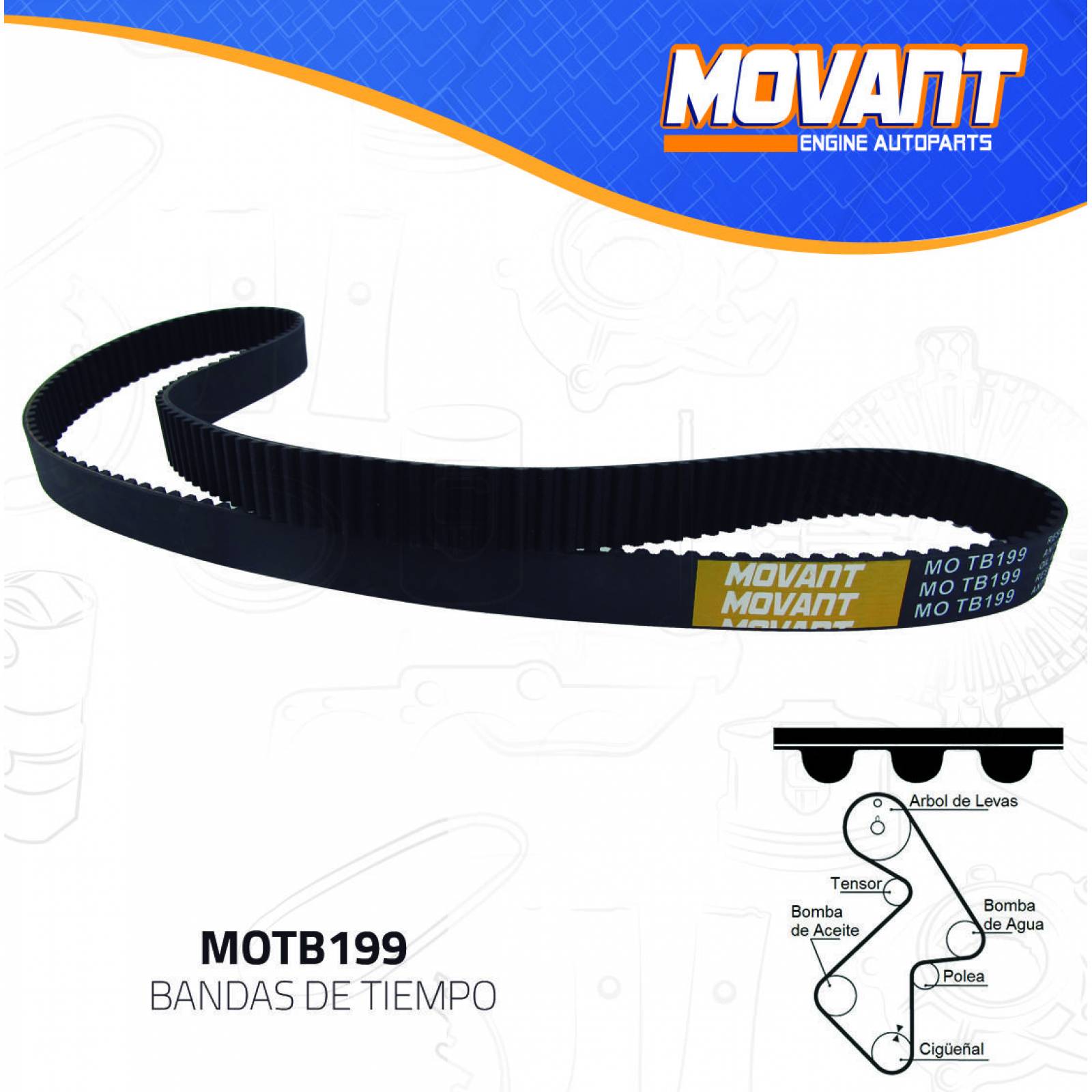 Banda Tiempo Para Toyota Celica 1989 - 1995 (MOVANT) 