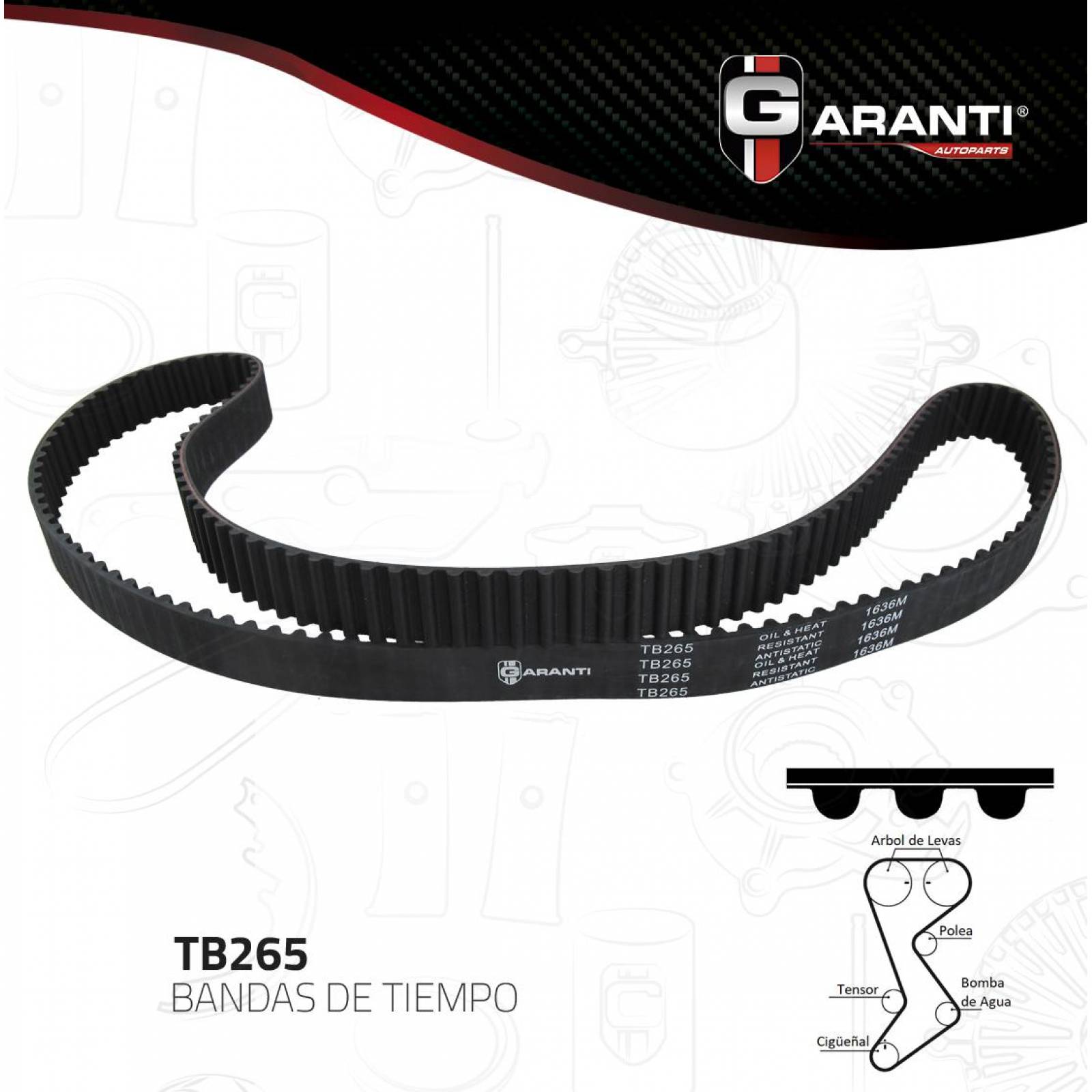 Banda Tiempo Para Plymouth Breeze 1996 - 2000 (Garanti) 