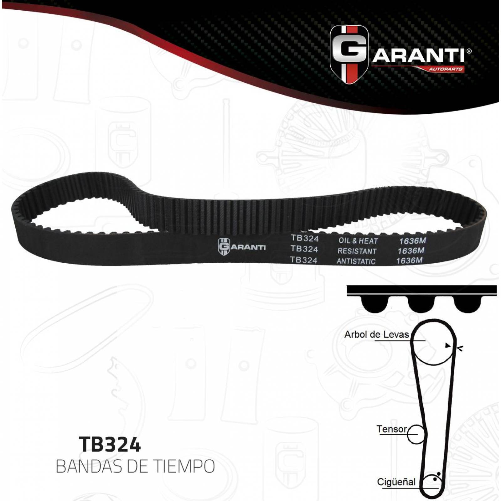 Banda Tiempo Para Hyundai Verna 1995 - 2006 (Garanti) 