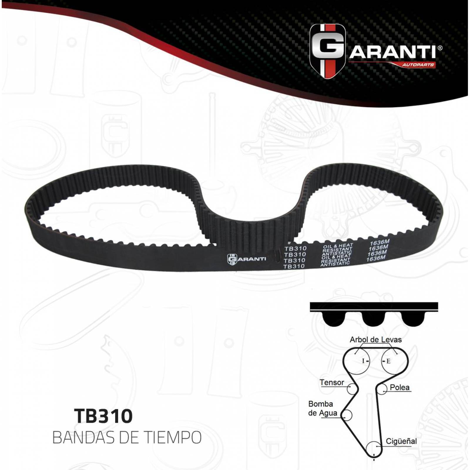 Banda Tiempo Para Chevrolet Aveo 2004 - 2018 (Movant) 