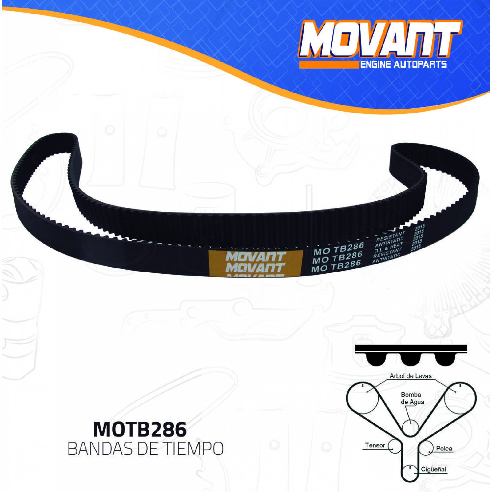 Banda Tiempo Para Honda Odyssey 1999 - 2014 (MOVANT) 