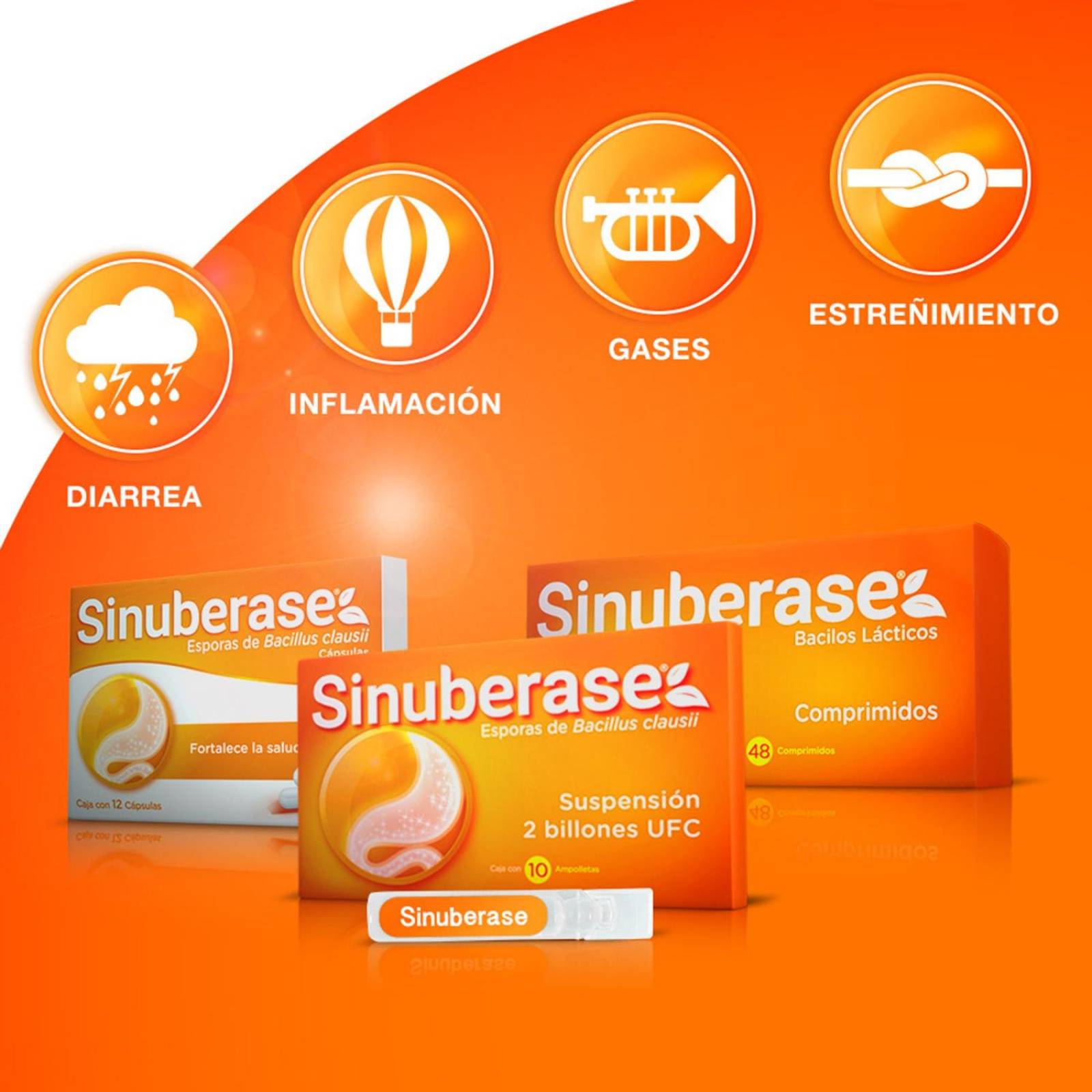 Sinuberase Caja Con 12 Cápsulas 