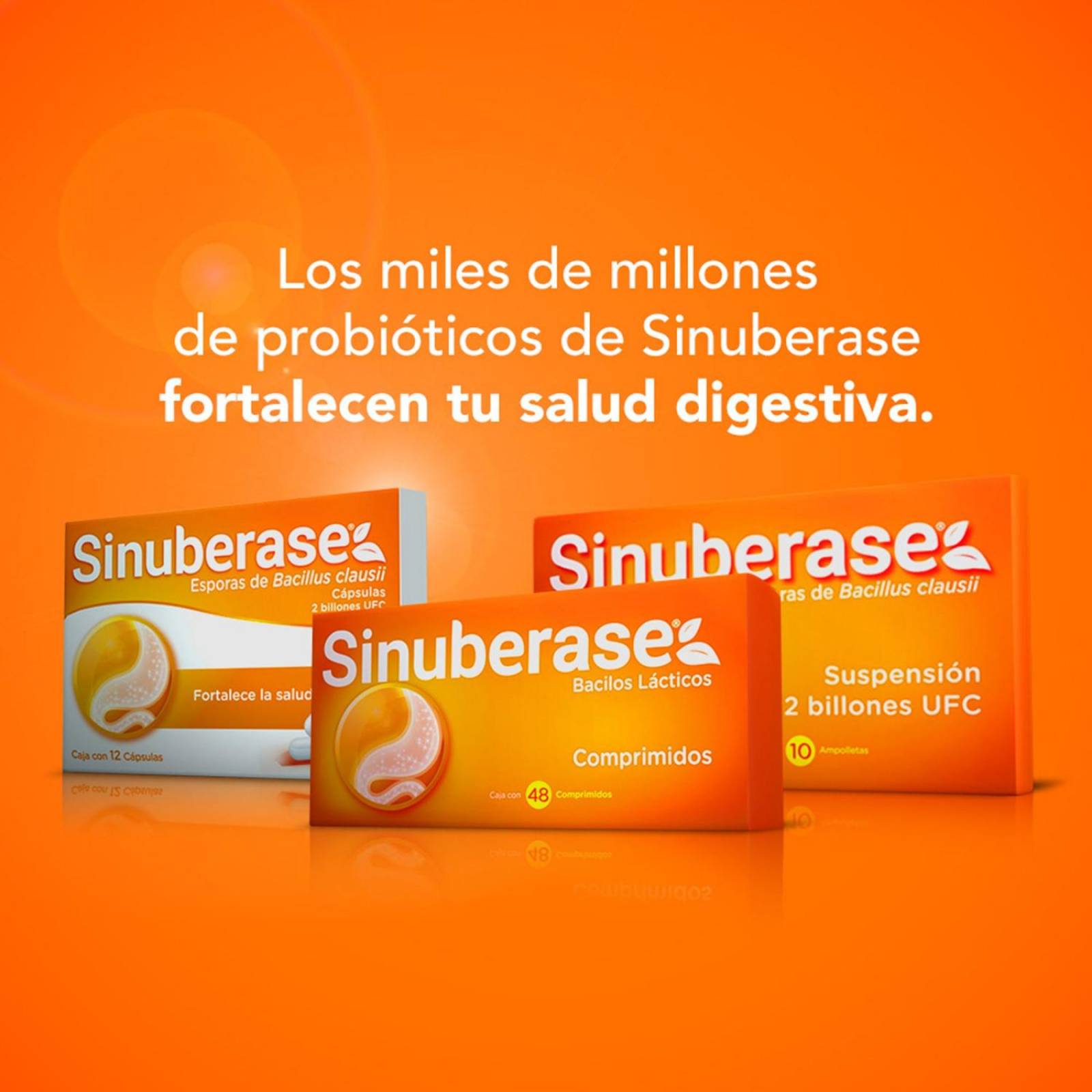 Sinuberase Caja Con 12 Cápsulas 
