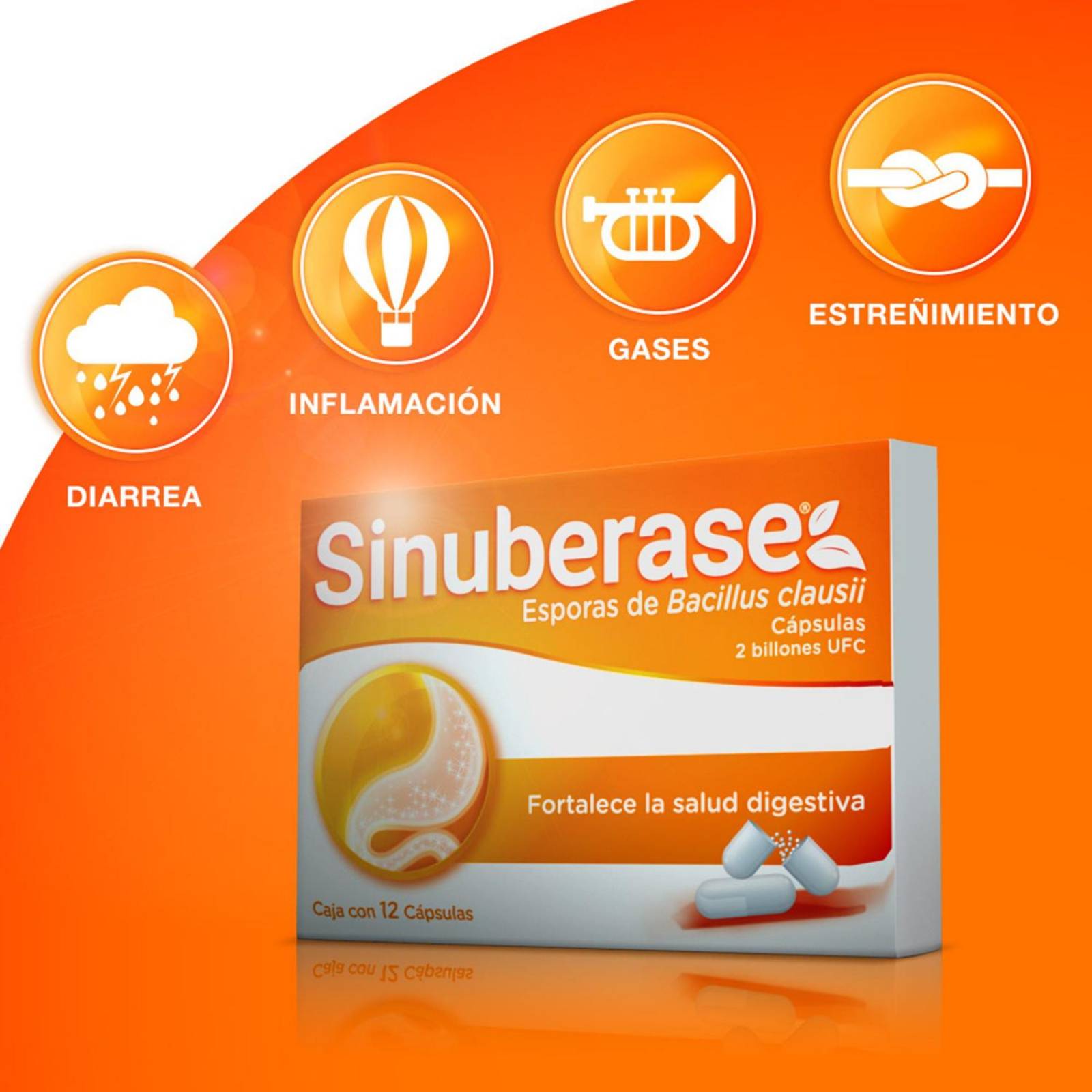 Sinuberase Caja Con 12 Cápsulas 