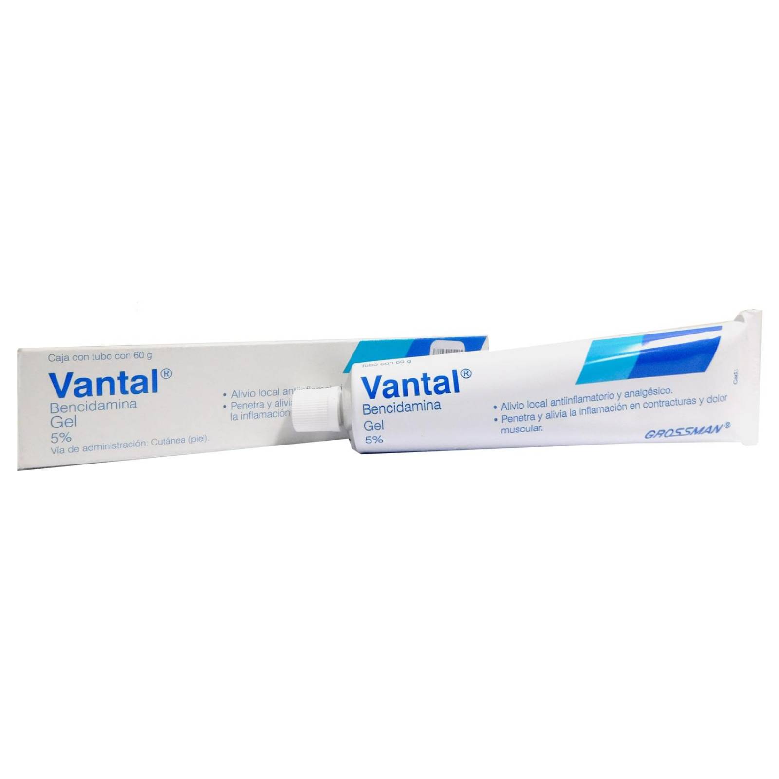 Vantal Gel 5 % Caja Con Tubo Con 60 g 