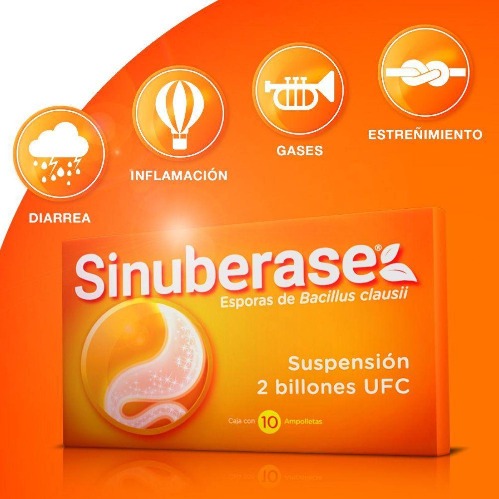Sinuberase Suspensión Caja Con 10 Ampolletas Con 5 mL 