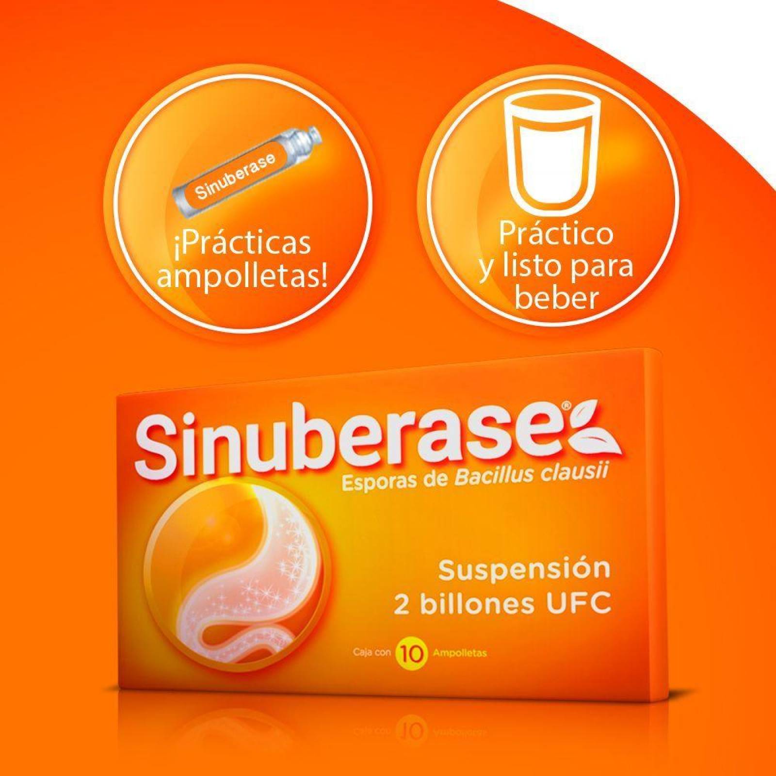 Sinuberase Suspensión Caja Con 10 Ampolletas Con 5 mL 