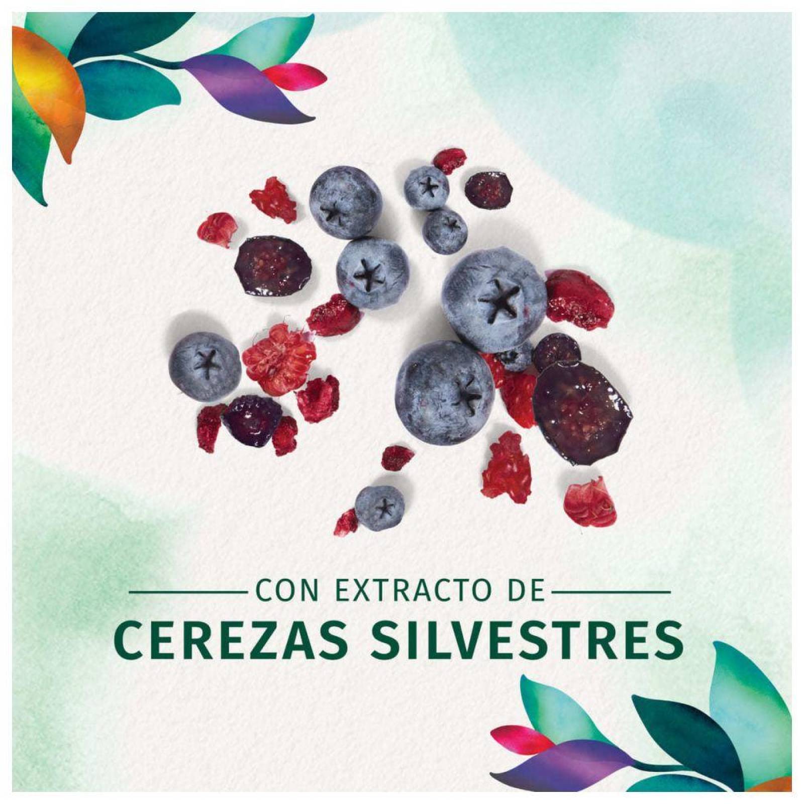 Acondicionador Herbal Essences Curvas Peligrosas Botella Con 300 mL 