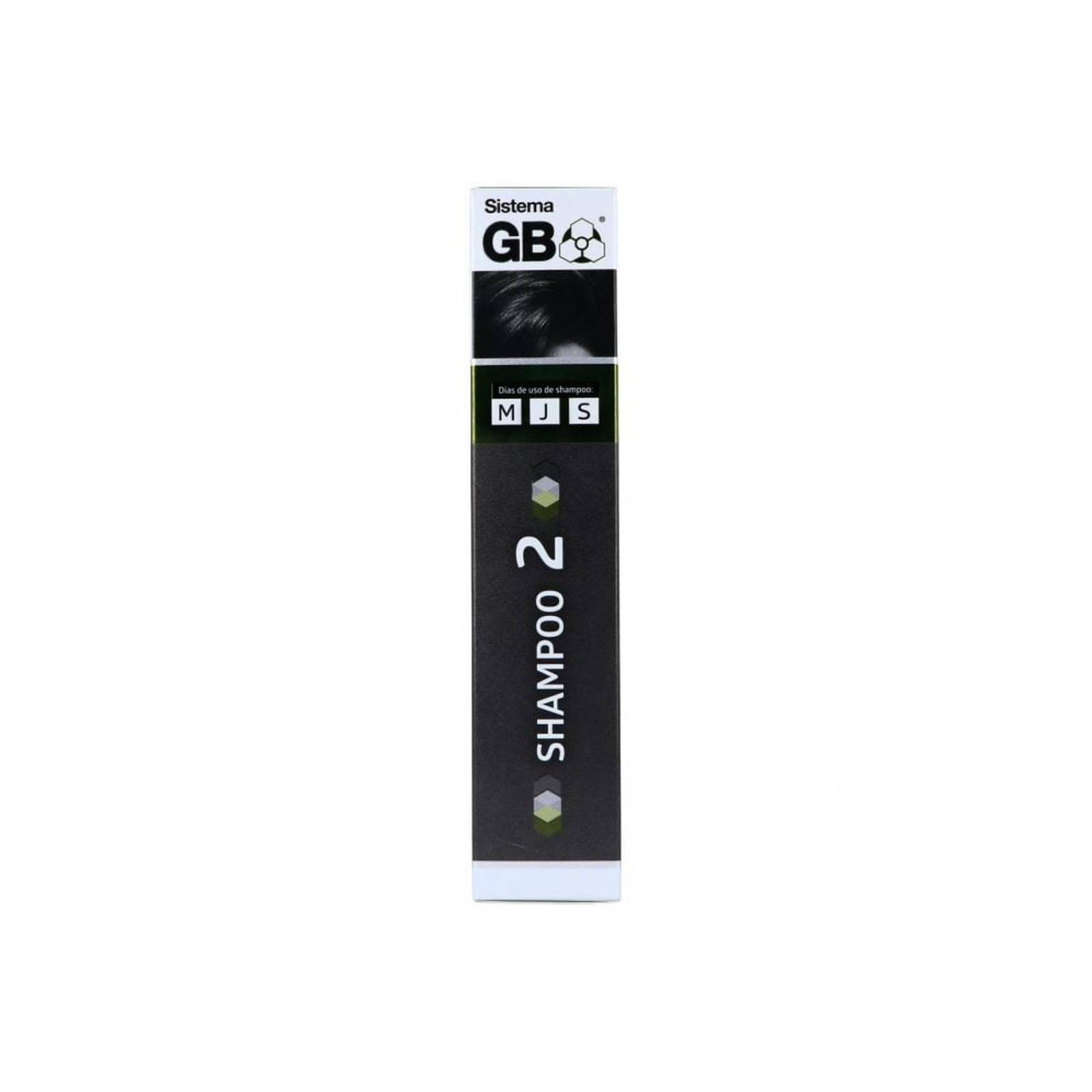 Sistema GB Shampoo N.2 Caja Con 1 Frasco Con 230 mL 
