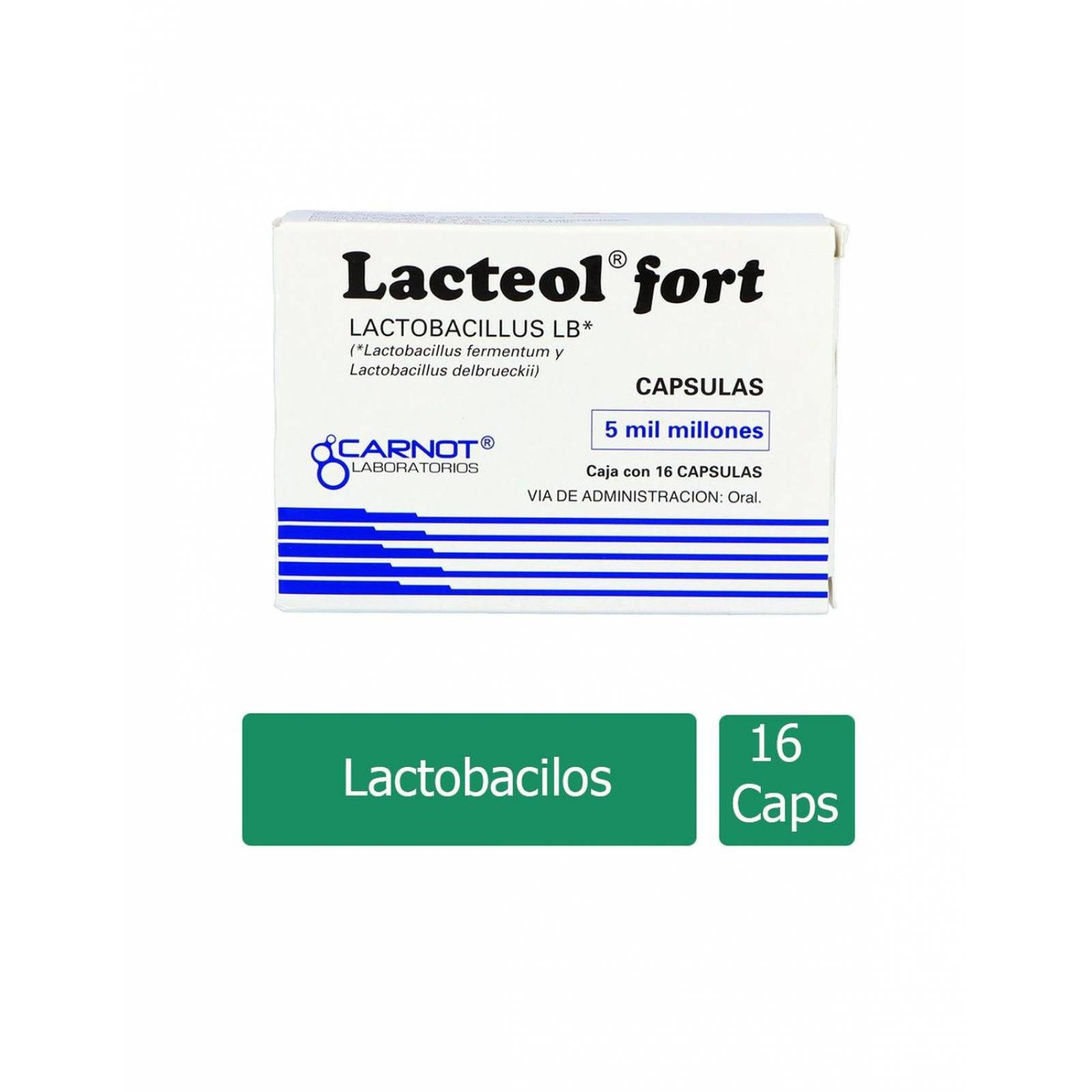 Lacteol Fort 170 mg Caja Con 16 Cápsulas 