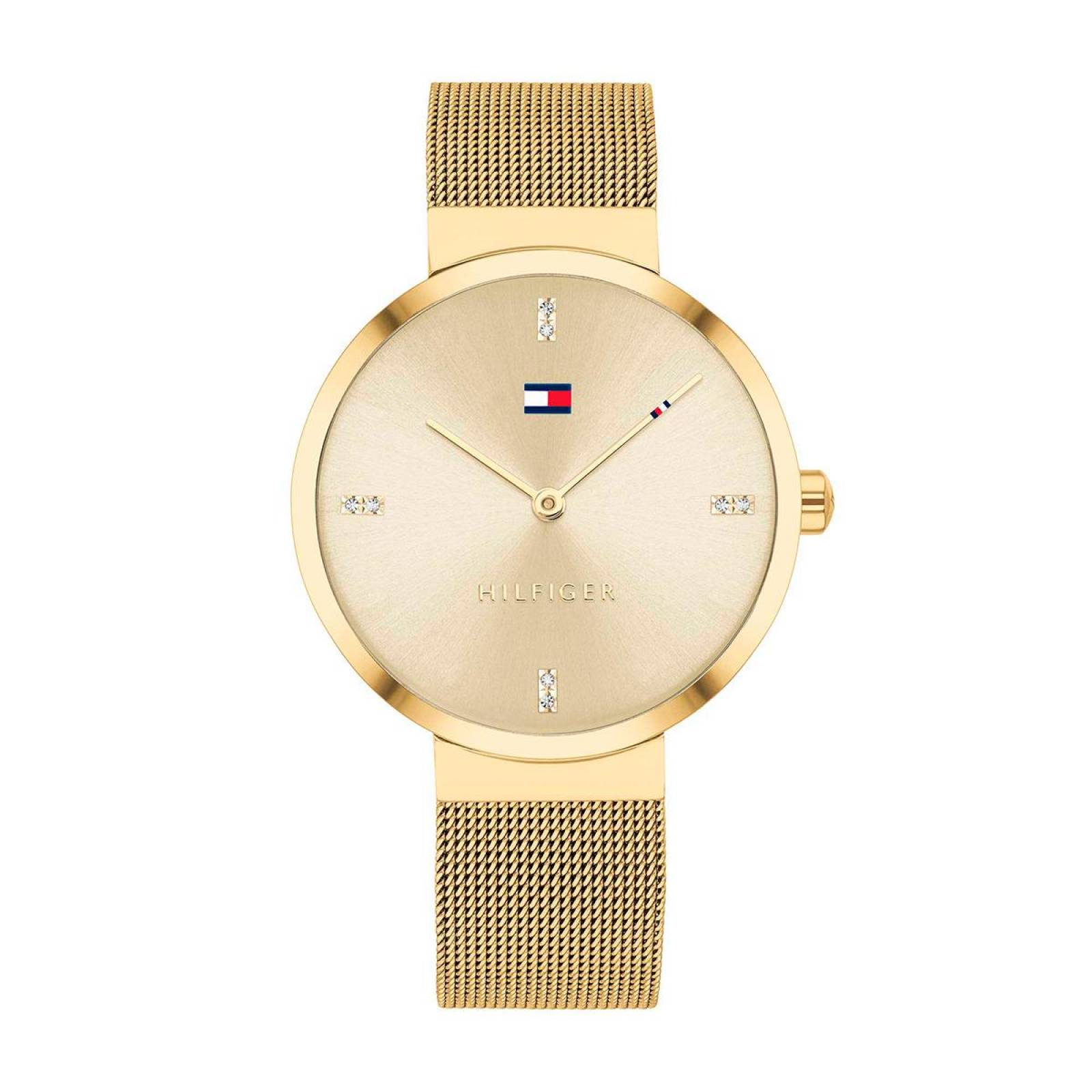 reloj tommy dama dorado