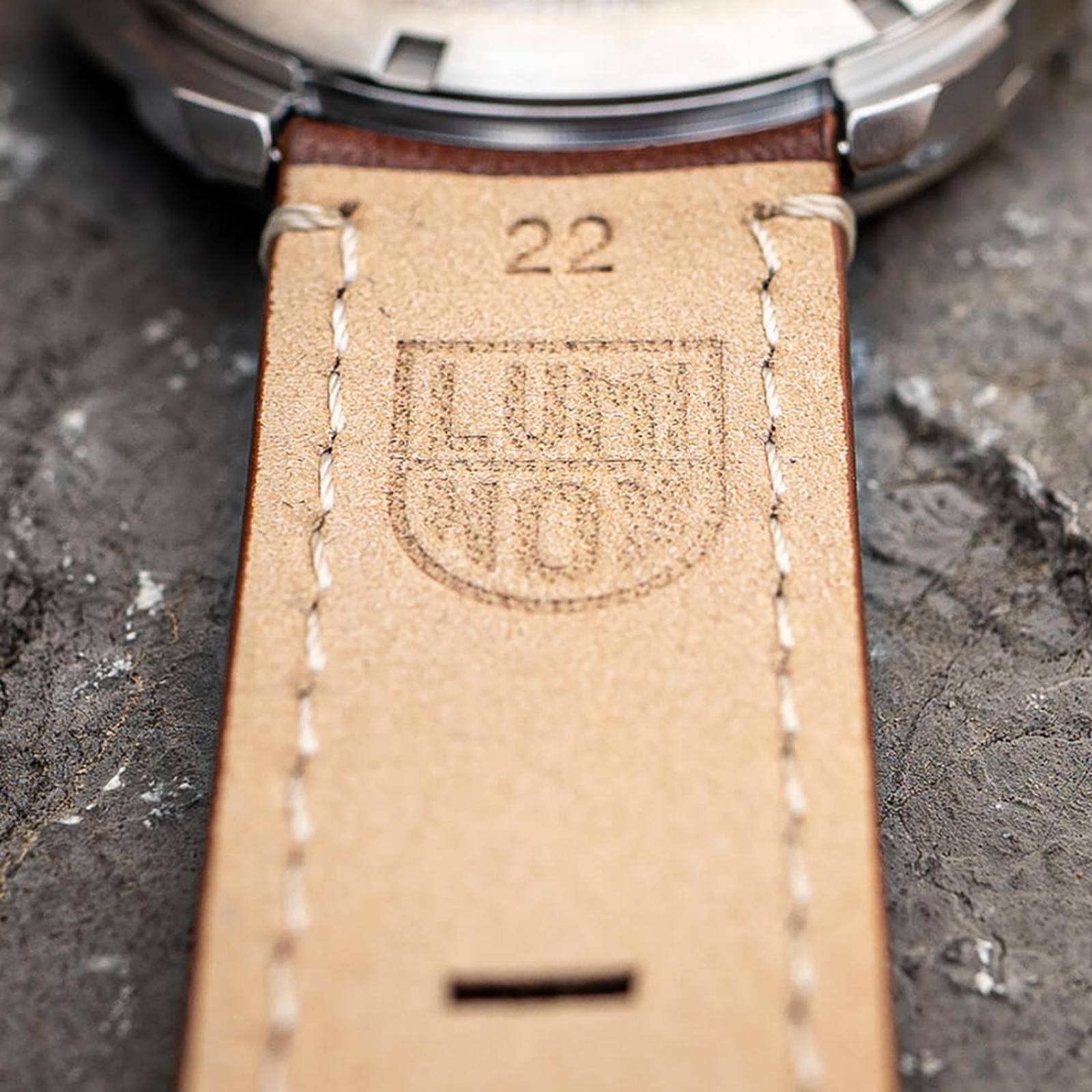 Reloj de Pulsera Luminox para Hombre XL.1763 Café 