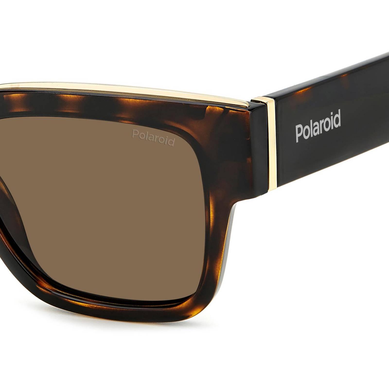 Lentes de Sol Polaroid Hombre Mujer 20569208652SP Café