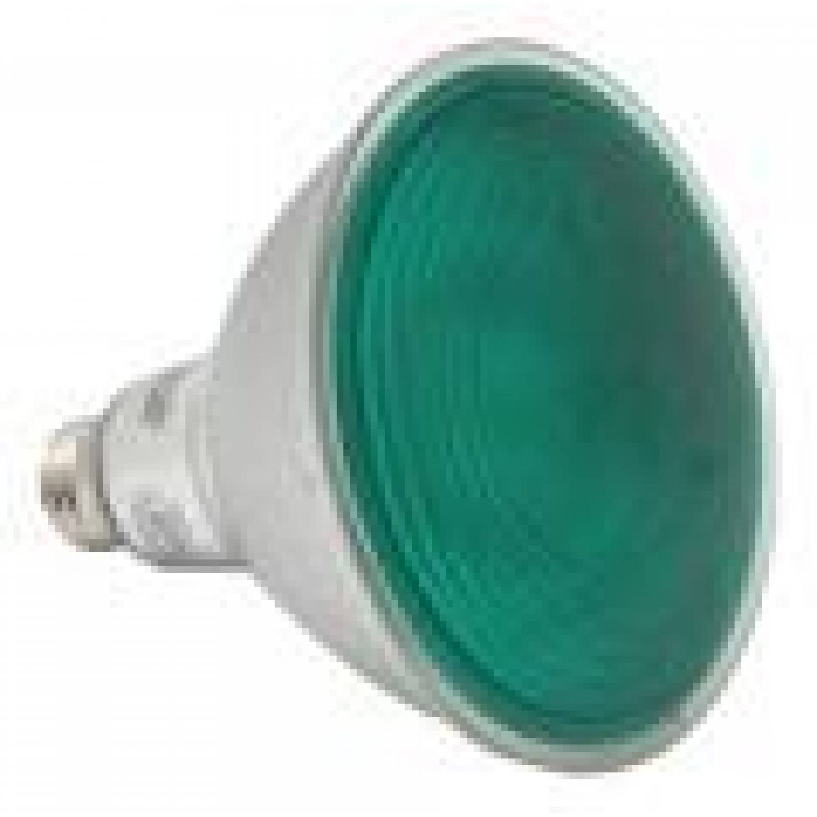 Foco Led Par38 Philips 13.5w Luz Verde 