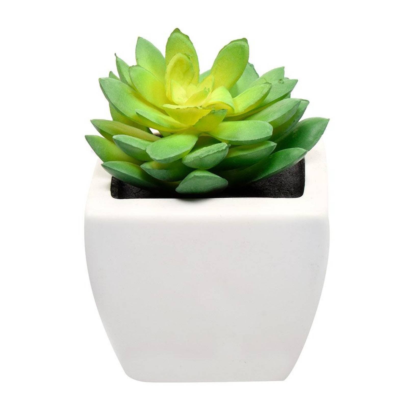 Planta Decorativa Suculenta Grande Artificial Maceta Blanca 